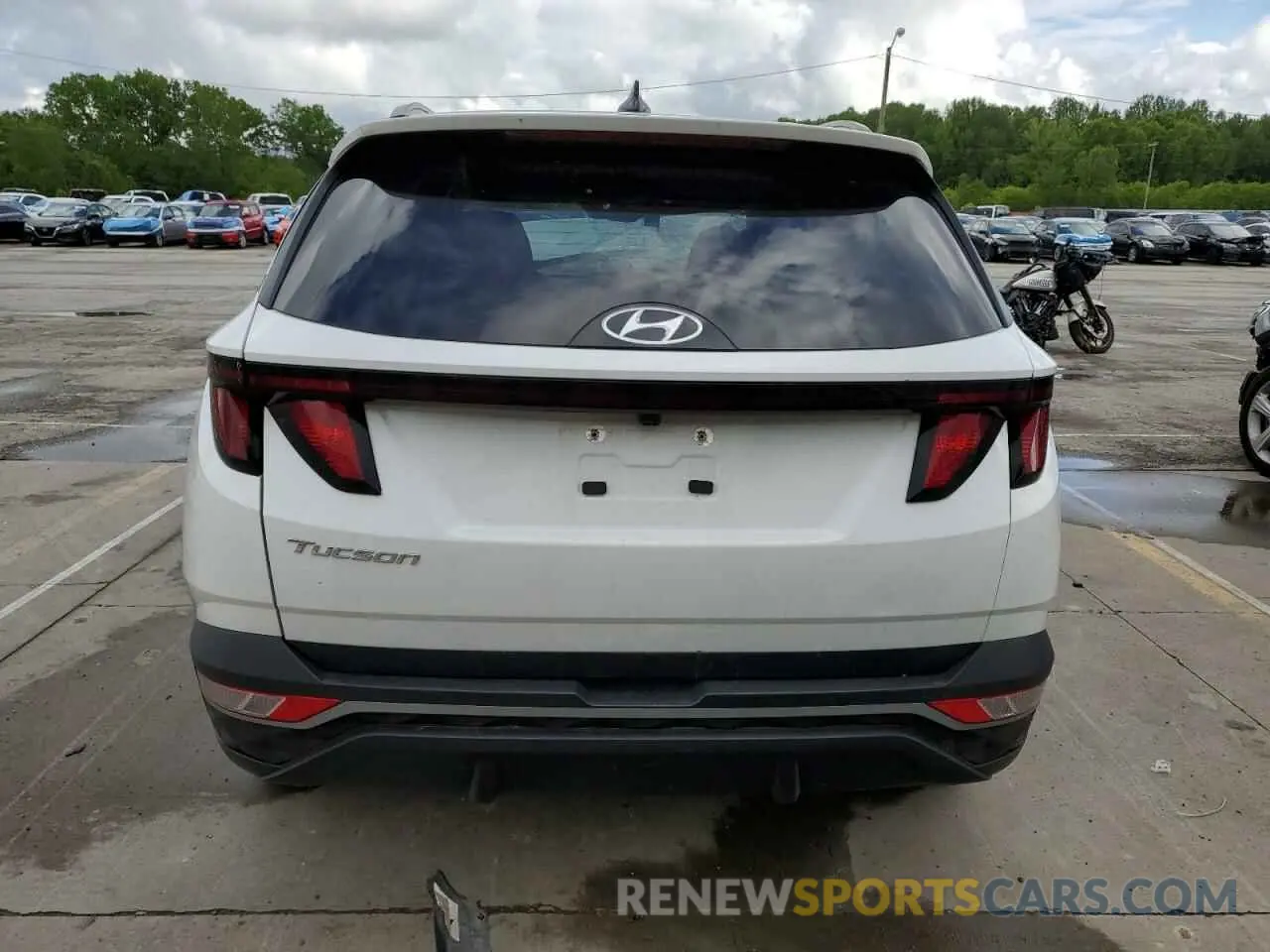6 fotografías del automóvil dañado 5NMJB3DE8RH305359 HYUNDAI TUCSON 2024