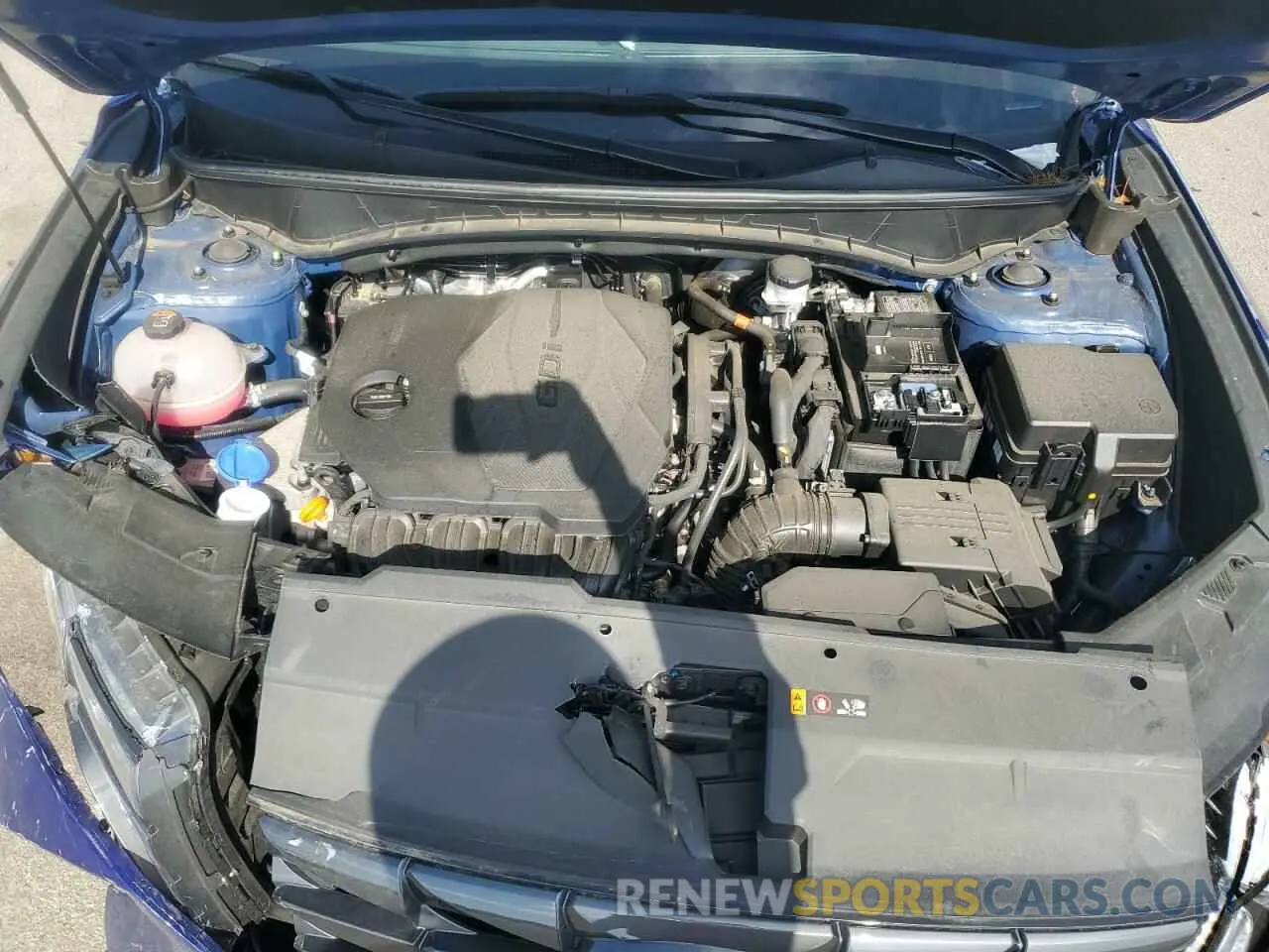 12 fotografías del automóvil dañado 5NMJBCDE0RH318493 HYUNDAI TUCSON 2024