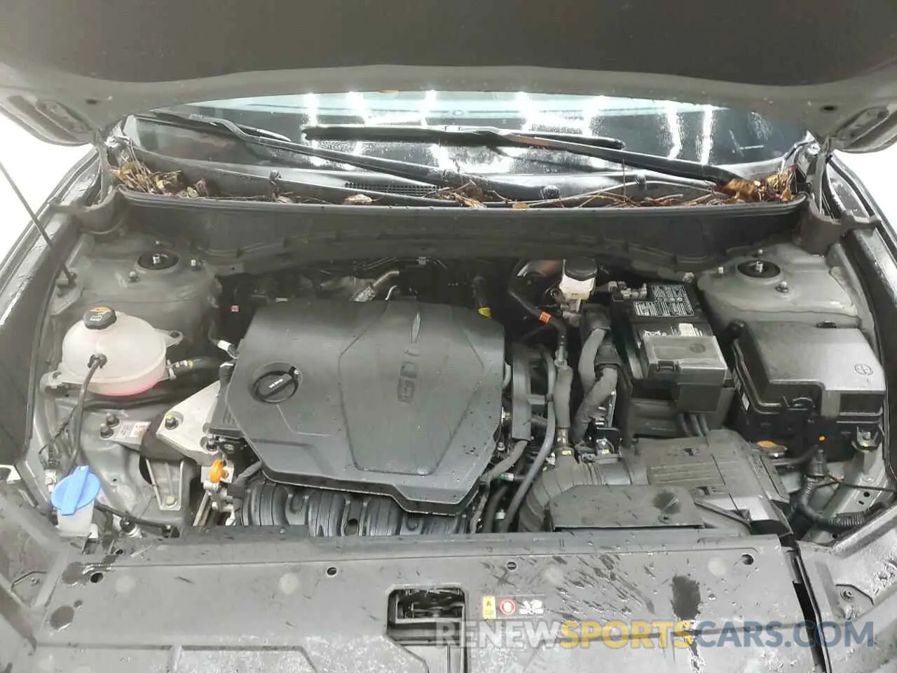12 fotografías del automóvil dañado 5NMJBCDE1RH329650 HYUNDAI TUCSON 2024