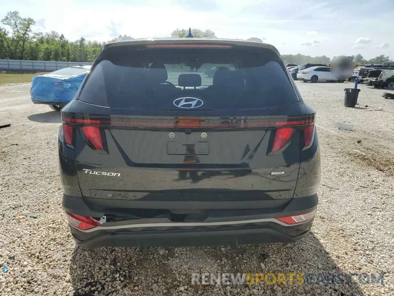 6 fotografías del automóvil dañado 5NMJBCDE3RH322814 HYUNDAI TUCSON 2024