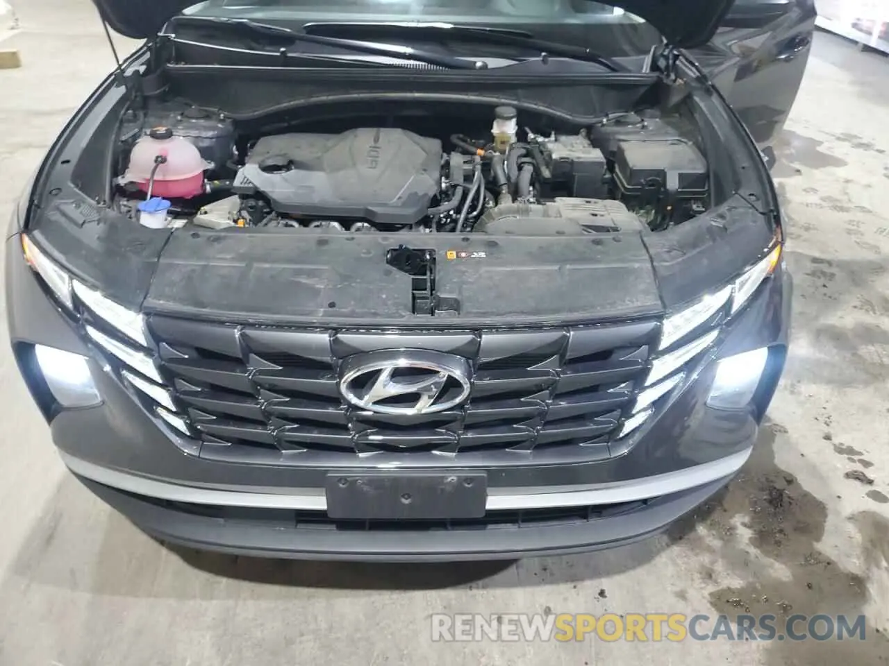 12 fotografías del automóvil dañado 5NMJBCDE6RH317767 HYUNDAI TUCSON 2024