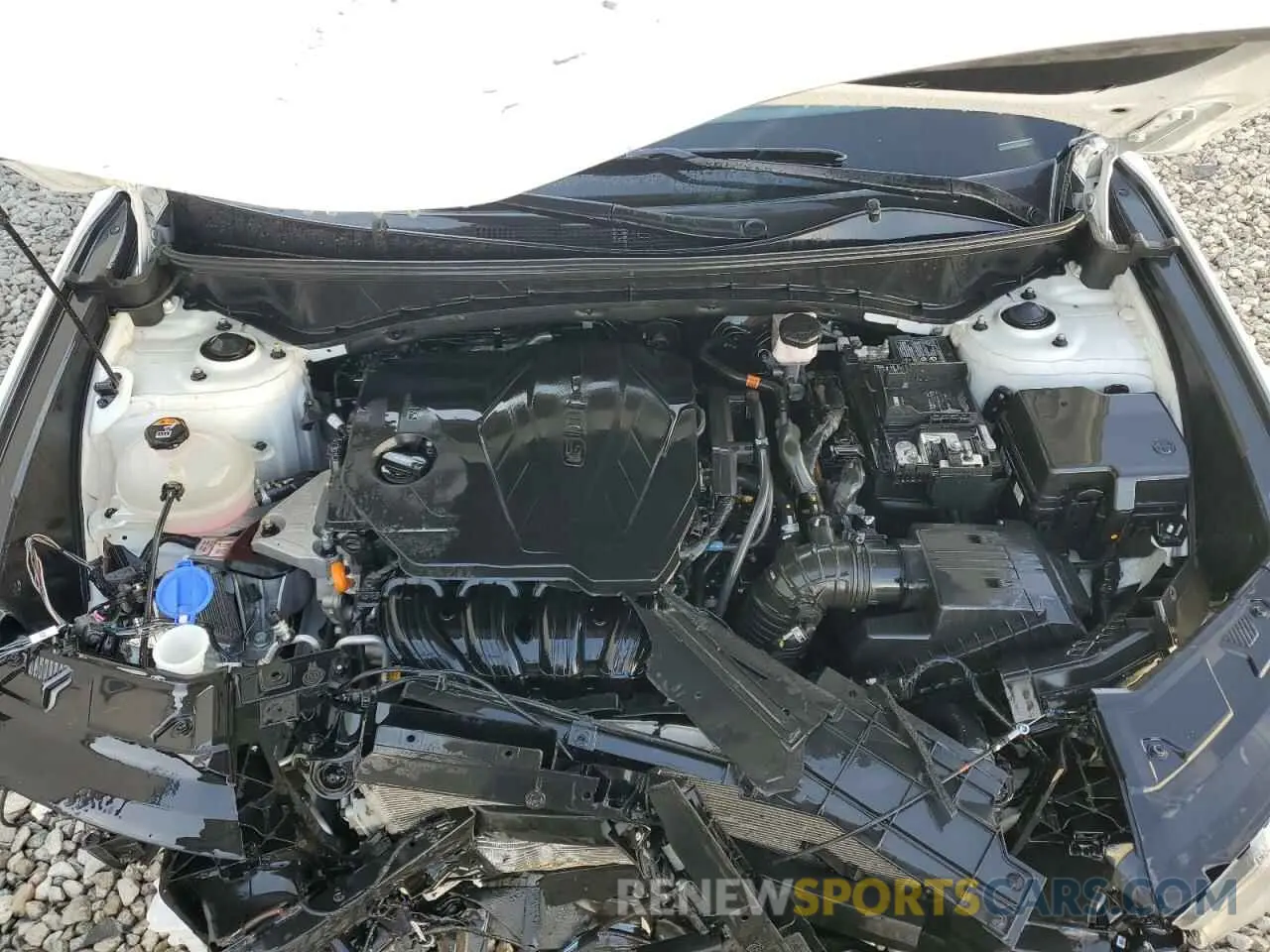 12 fotografías del automóvil dañado 5NMJBCDE7RH322055 HYUNDAI TUCSON 2024