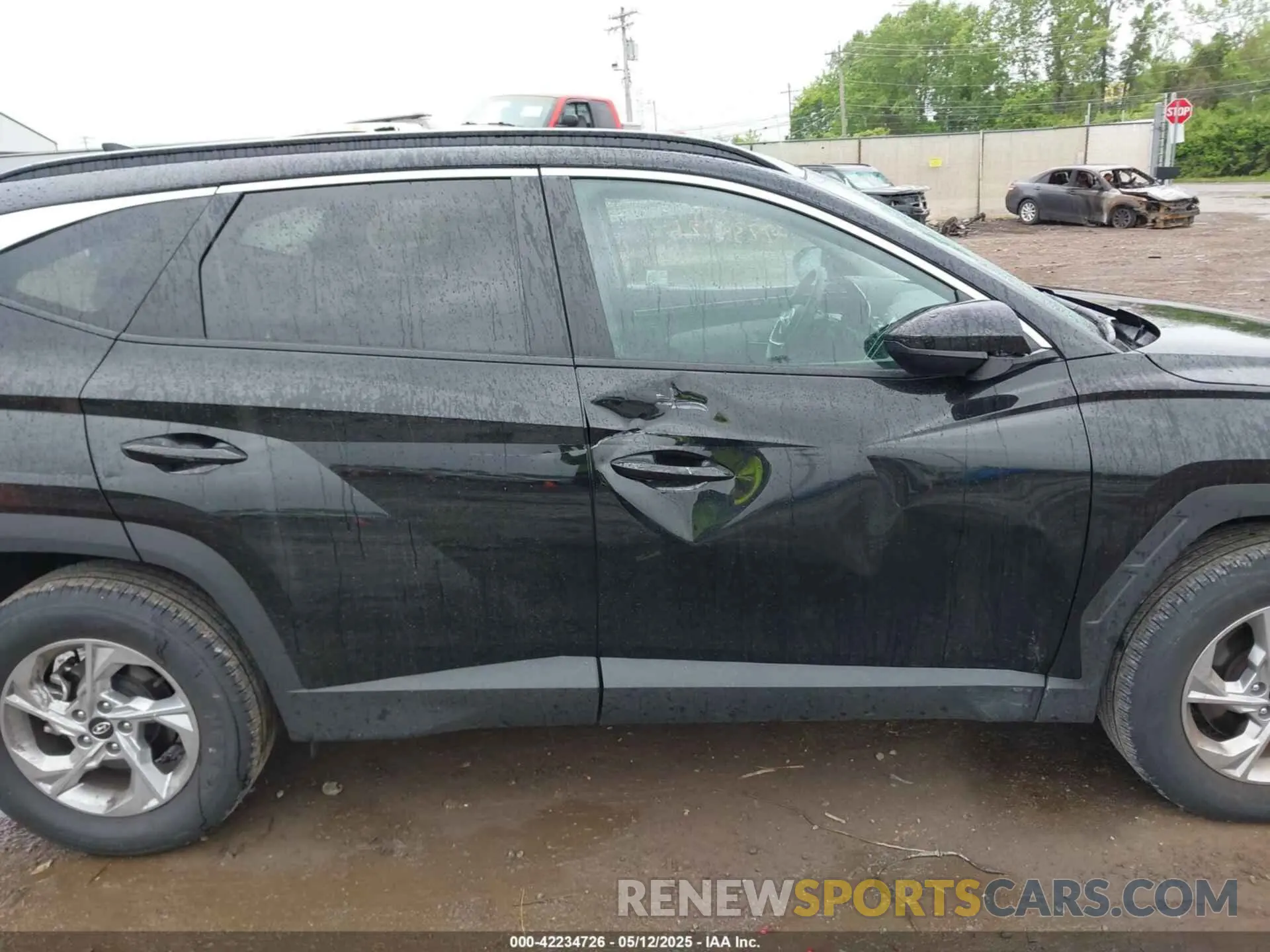 13 fotografías del automóvil dañado 5NMJBCDE9RH386338 HYUNDAI TUCSON 2024