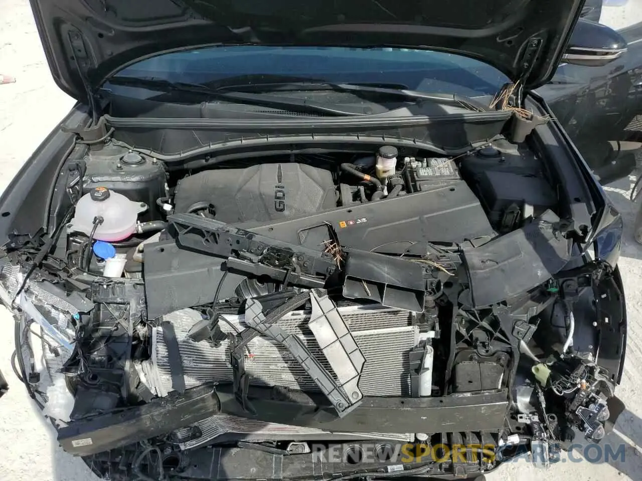 13 fotografías del automóvil dañado 5NMJE3DE7RH408666 HYUNDAI TUCSON 2024