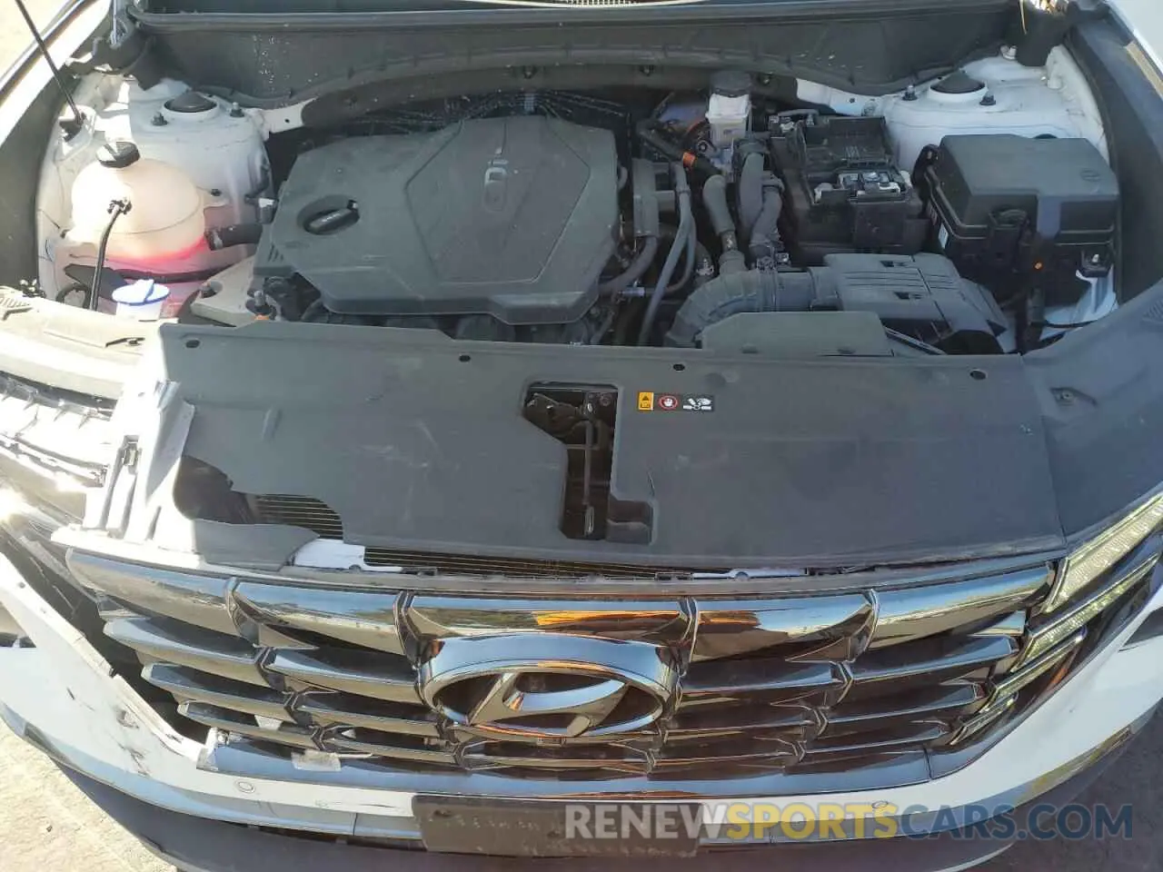 12 fotografías del automóvil dañado 5NMJECDE2RH298447 HYUNDAI TUCSON 2024