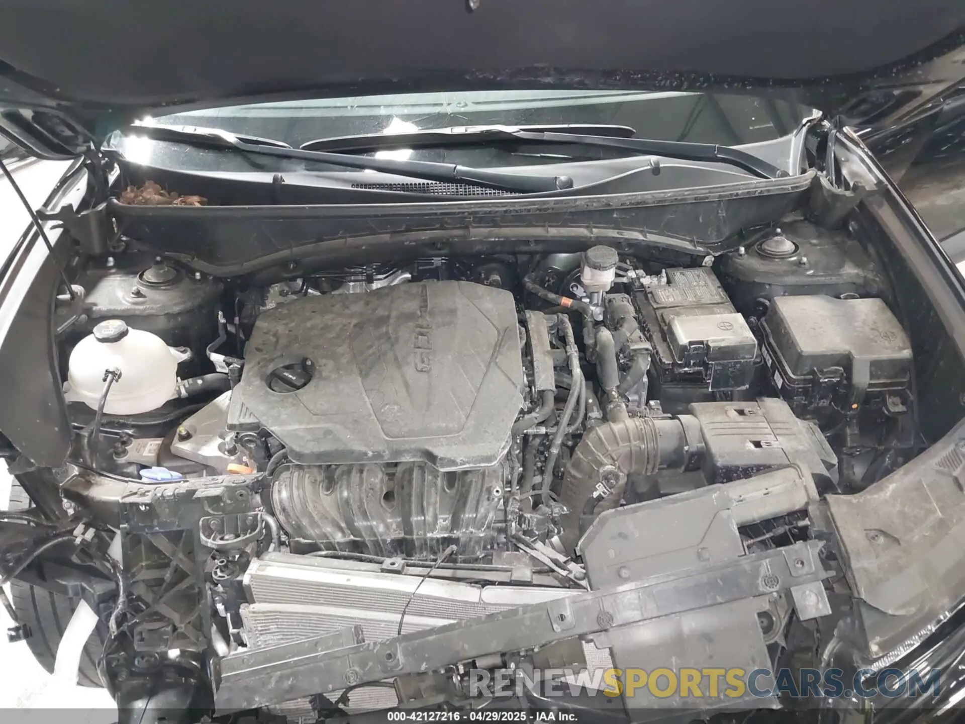 10 fotografías del automóvil dañado 5NMJECDE5RH303687 HYUNDAI TUCSON 2024