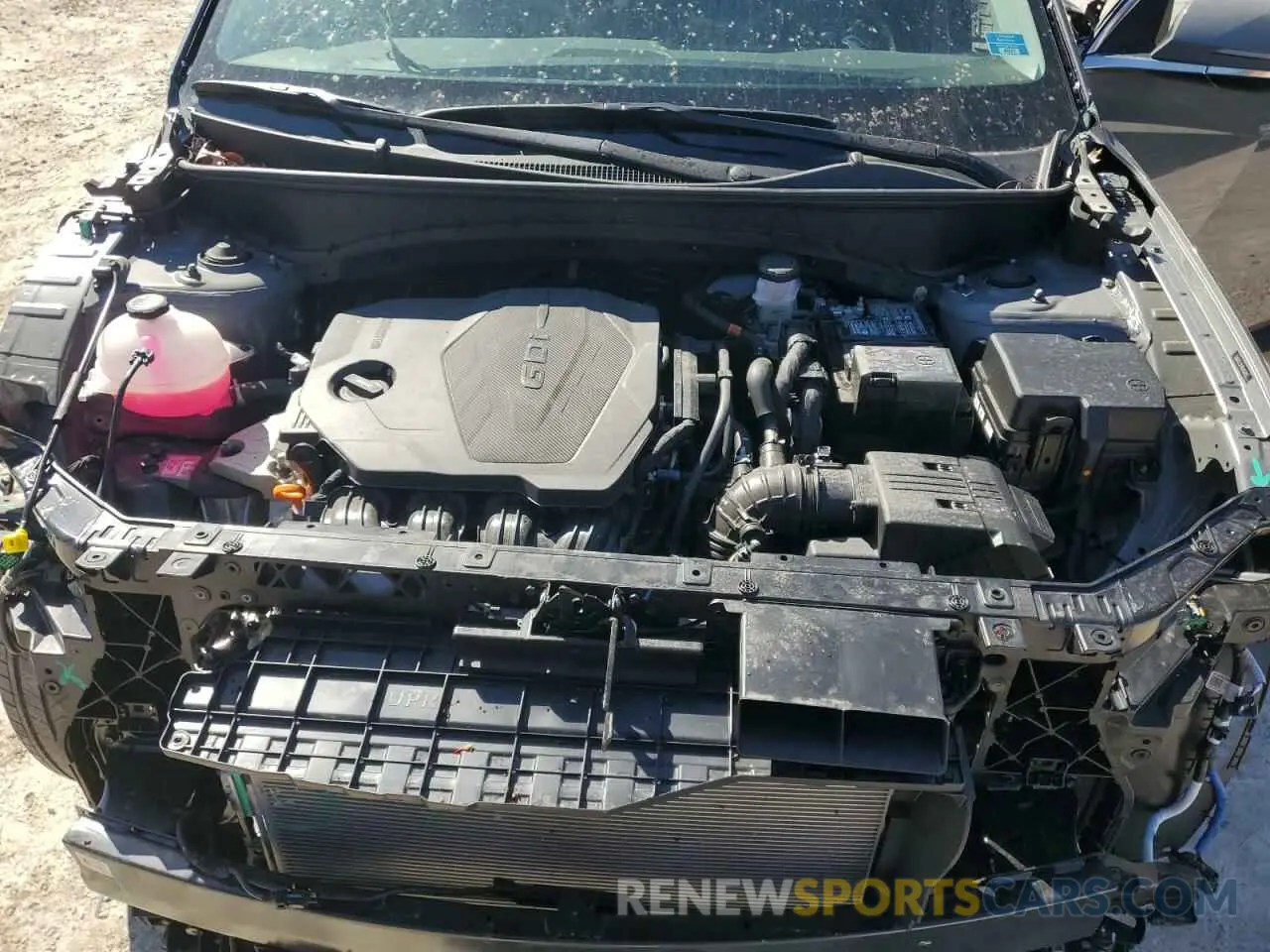 12 fotografías del automóvil dañado 5NMJECDE8RH436055 HYUNDAI TUCSON 2024
