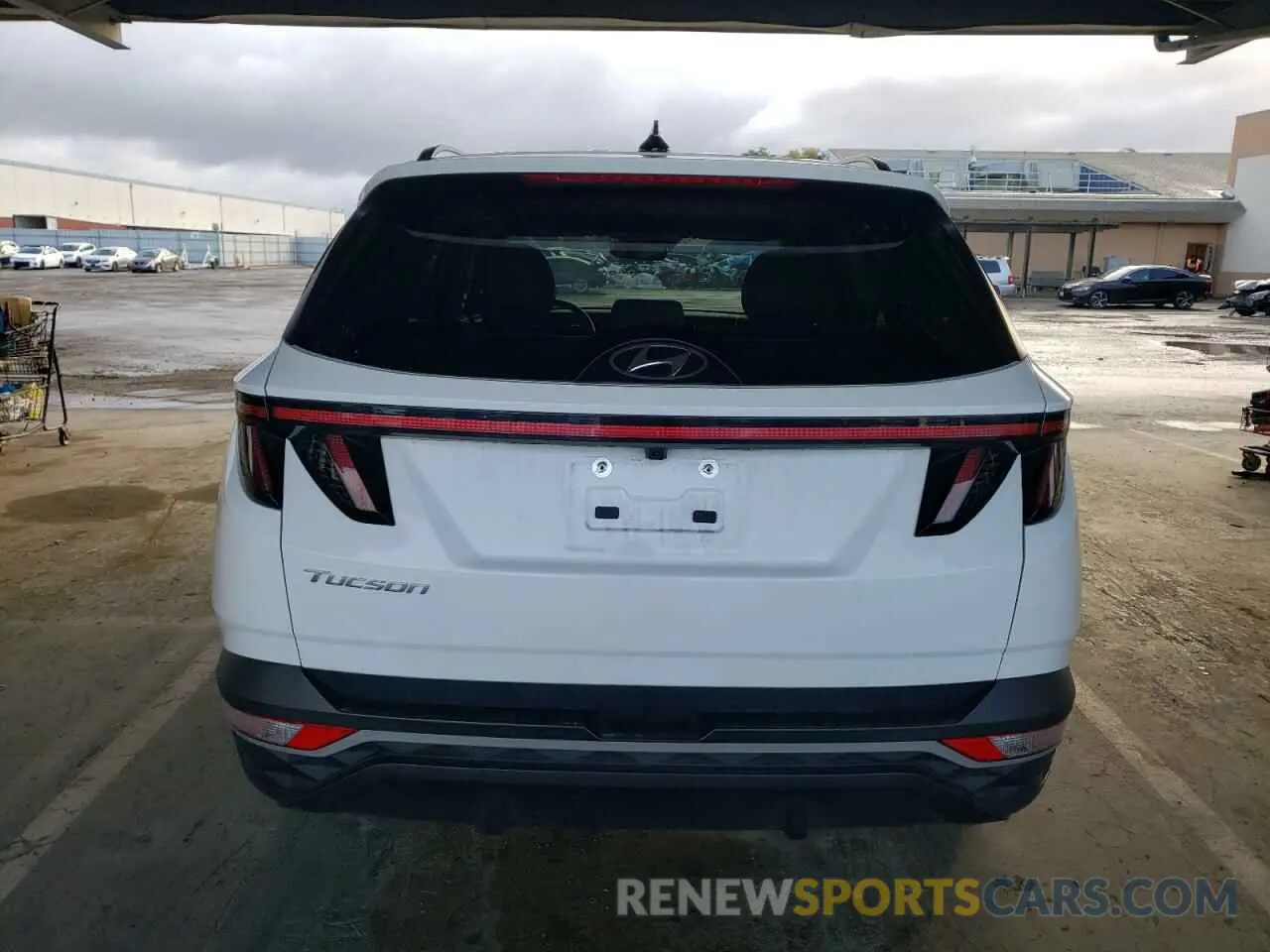 6 fotografías del automóvil dañado 5NMJF3DEXRH346001 HYUNDAI TUCSON 2024