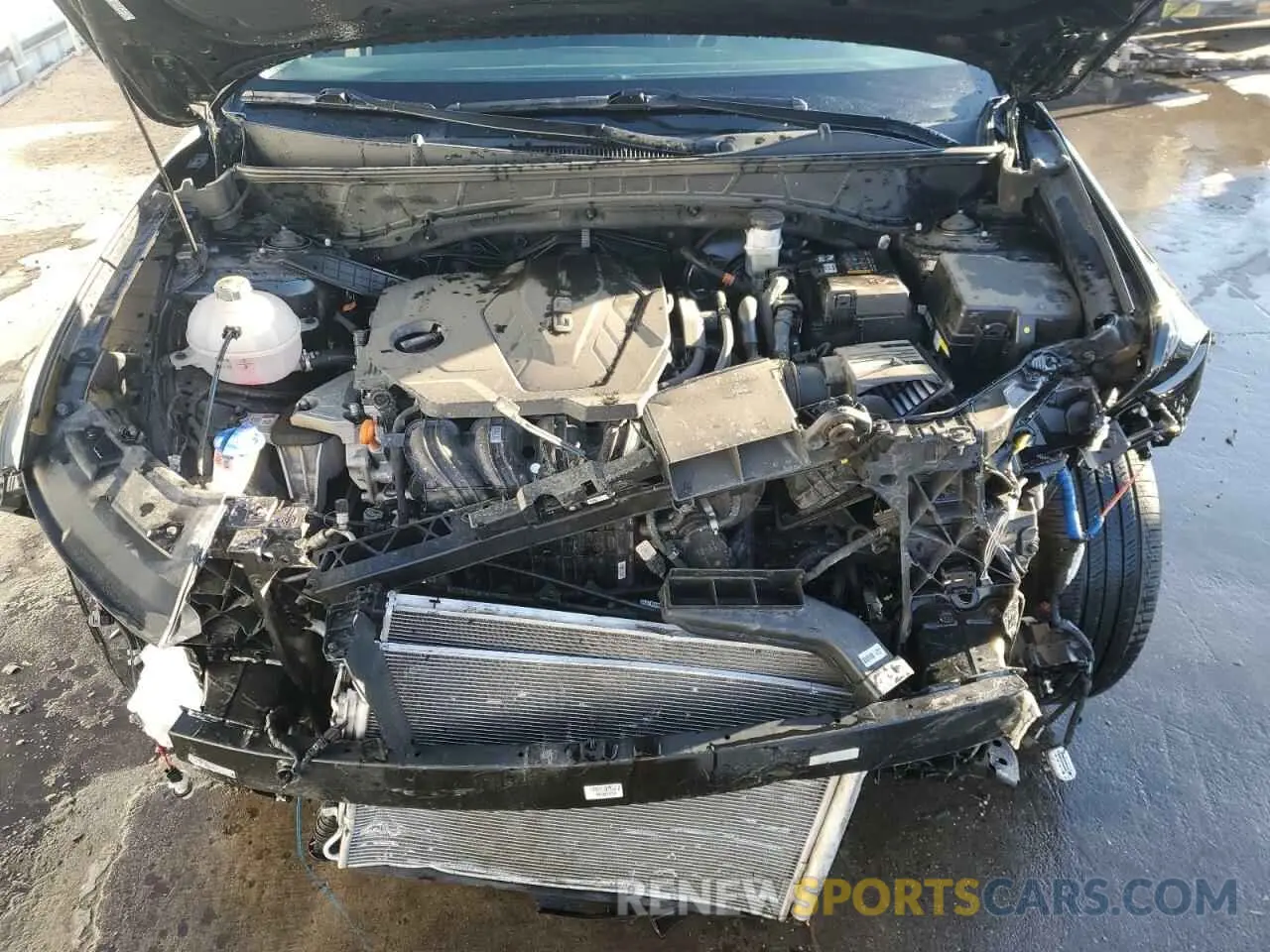 12 fotografías del automóvil dañado KM8JBCDE4RU291240 HYUNDAI TUCSON 2024