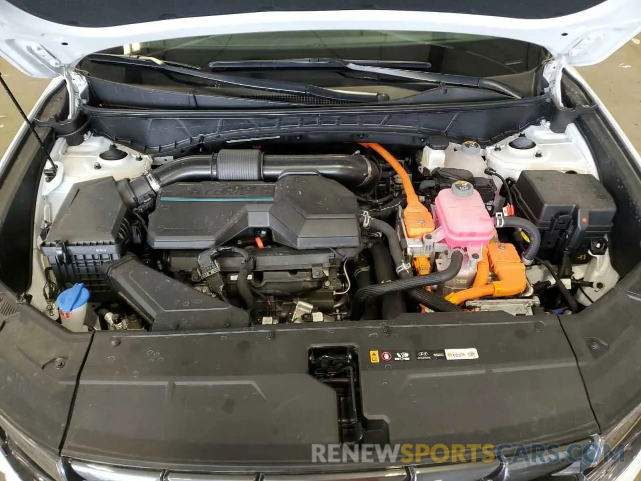 11 fotografías del automóvil dañado KM8JCCD11RU154444 HYUNDAI TUCSON 2024