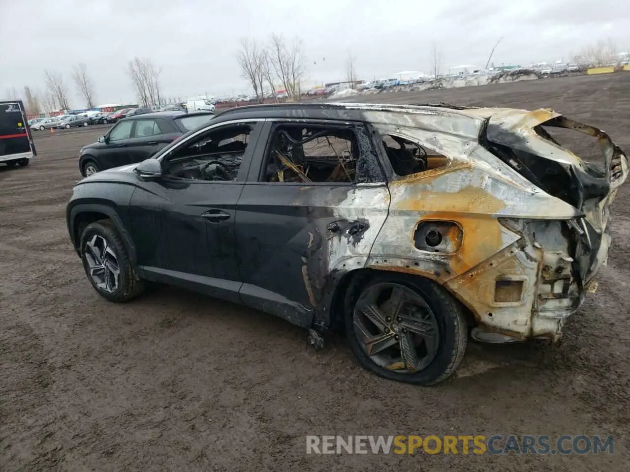 2 fotografías del automóvil dañado KM8JCCD13RU196212 HYUNDAI TUCSON 2024