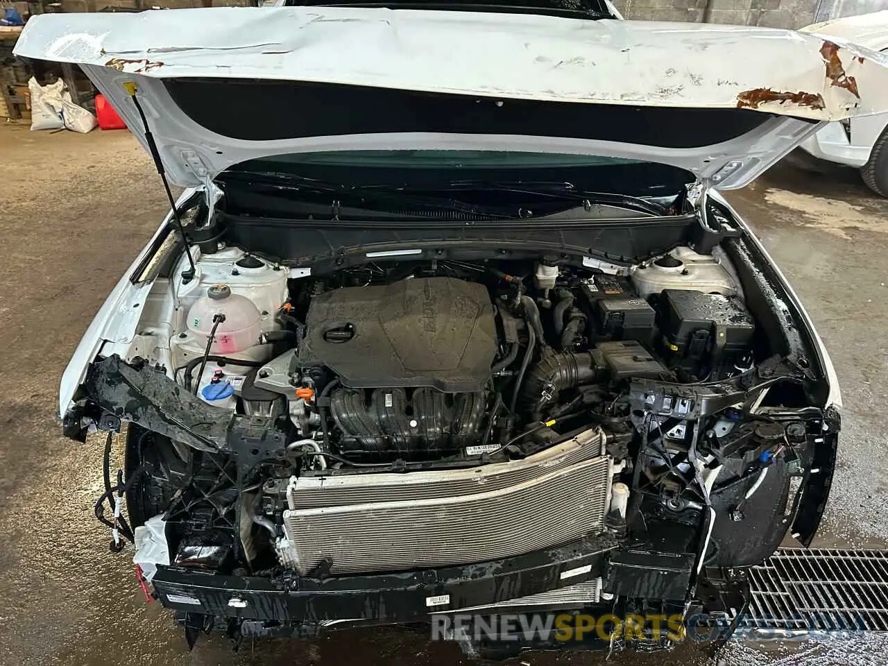5 fotografías del automóvil dañado KM8JCCDE6RU325126 HYUNDAI TUCSON 2024