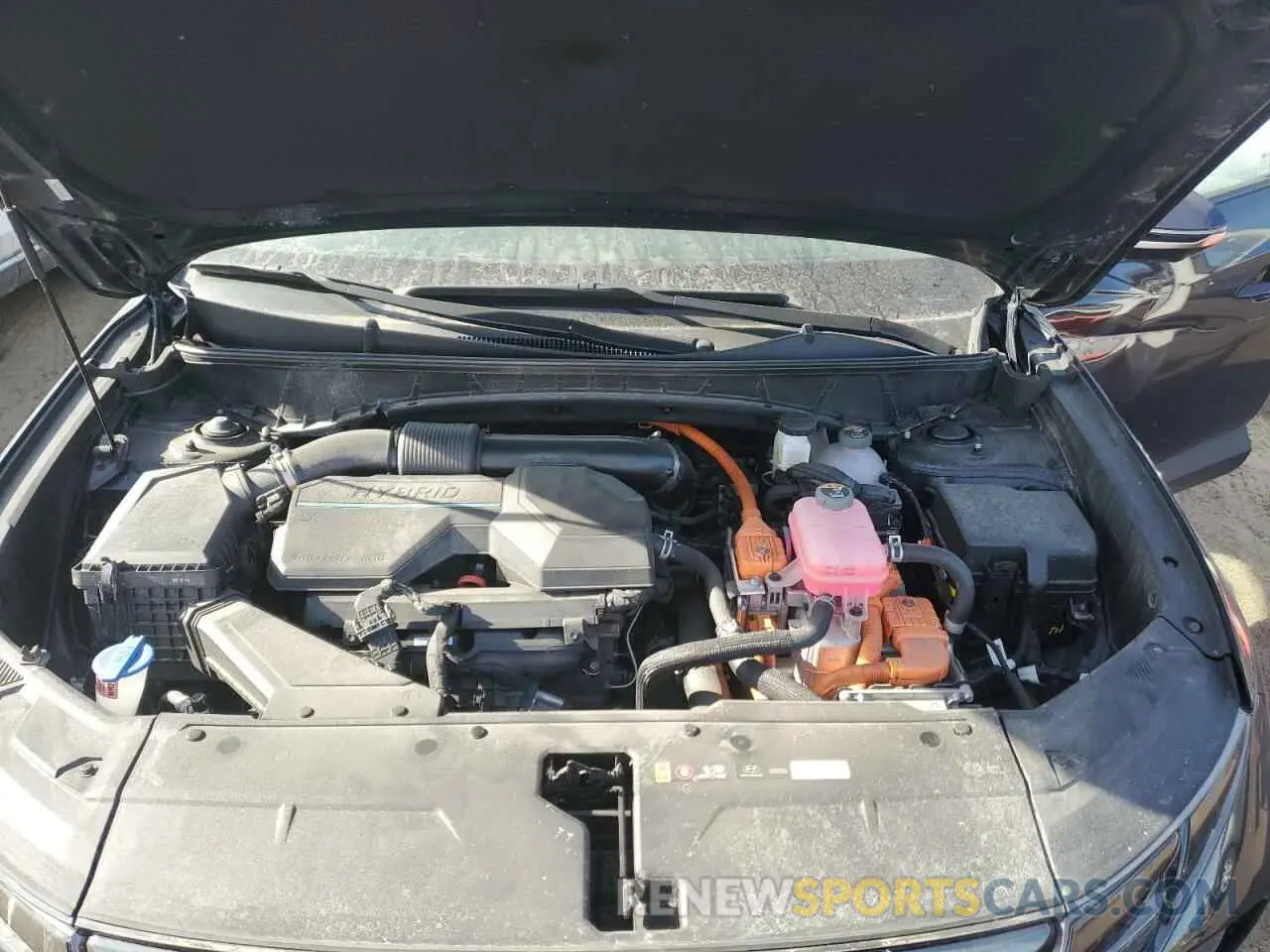 12 fotografías del automóvil dañado KM8JECD12RU154432 HYUNDAI TUCSON 2024