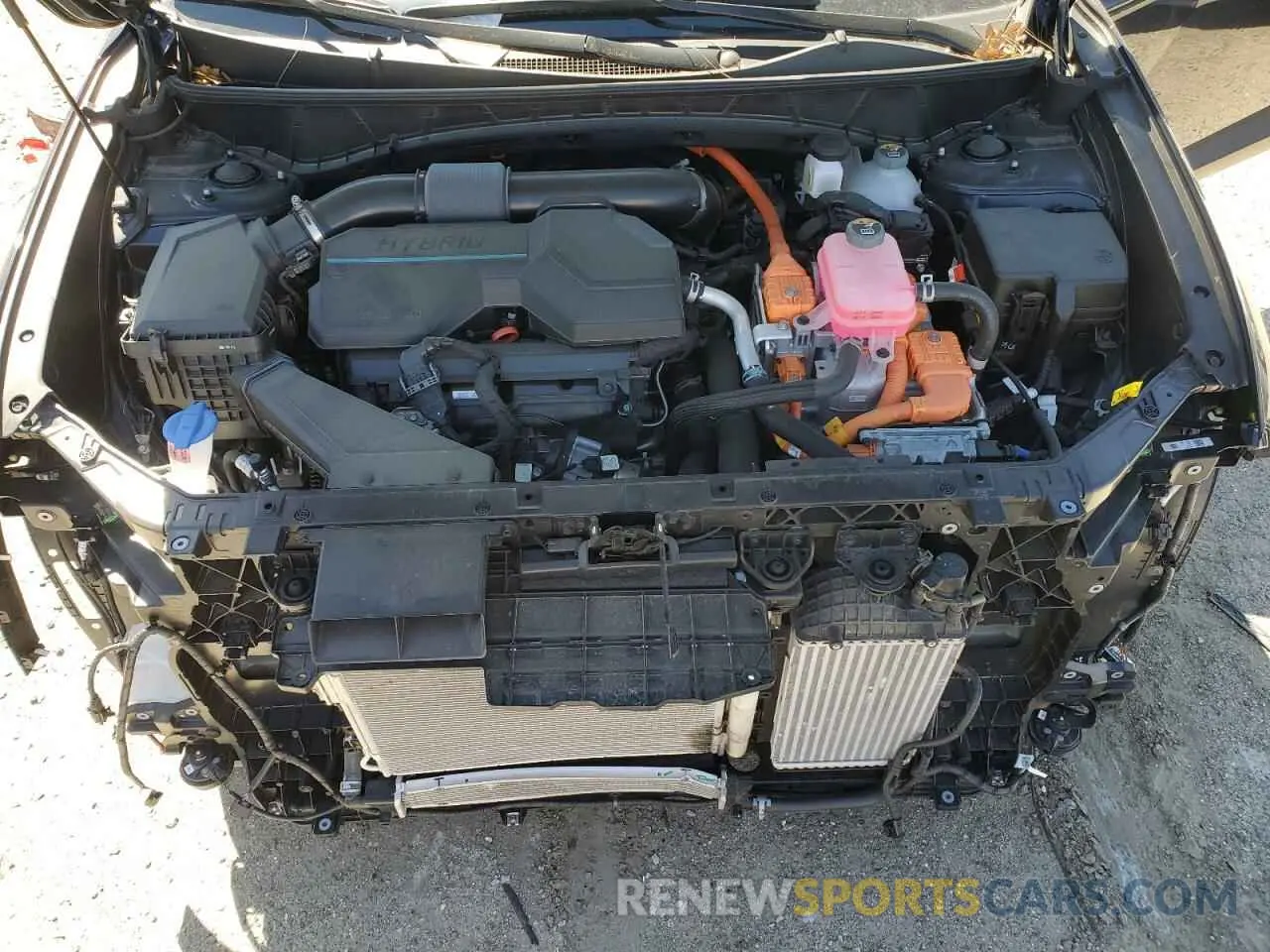 12 fotografías del automóvil dañado KM8JECD13RU186242 HYUNDAI TUCSON 2024