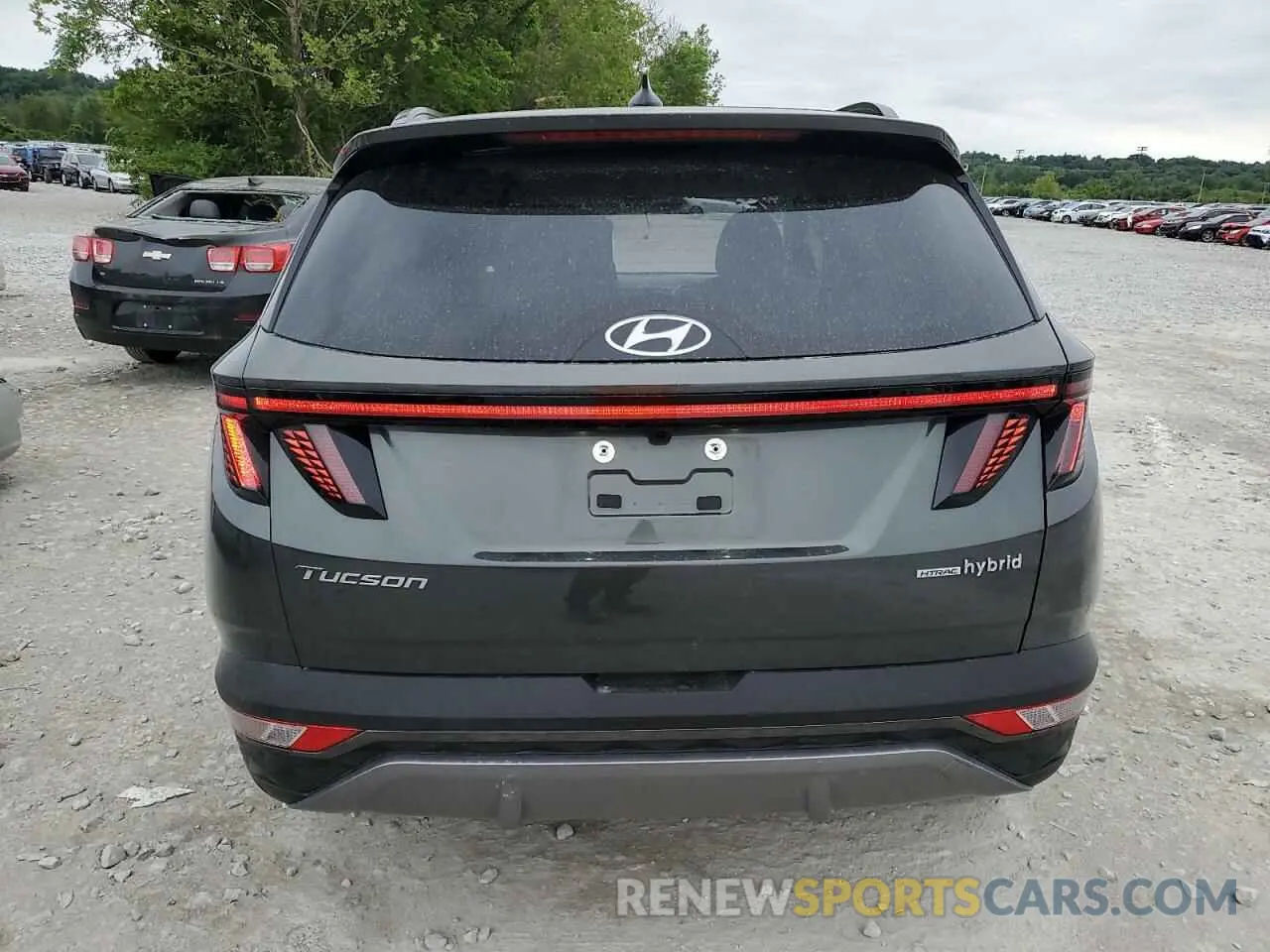 6 fotografías del automóvil dañado KM8JECD18RU241770 HYUNDAI TUCSON 2024