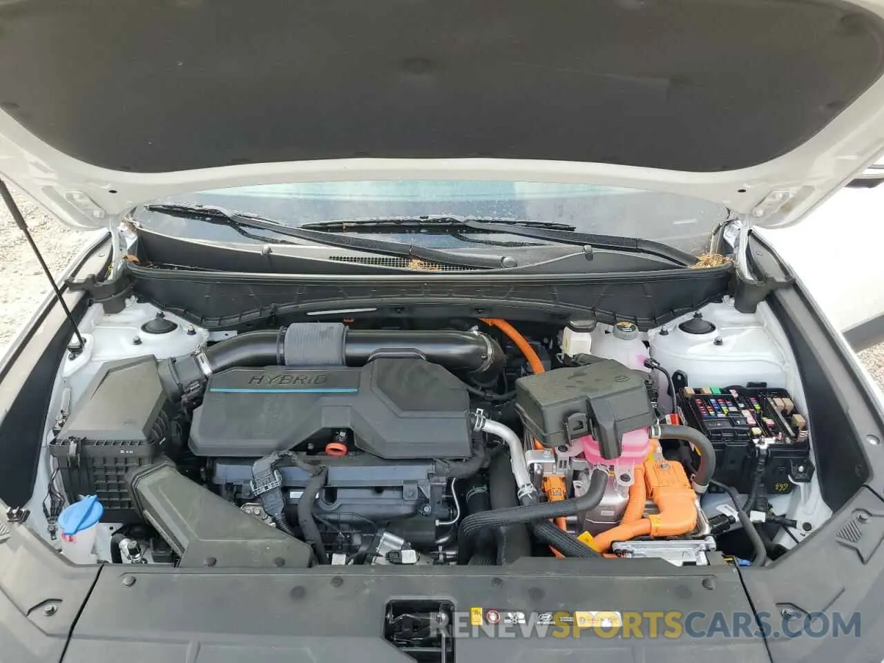 11 fotografías del automóvil dañado KM8JECD19RU177108 HYUNDAI TUCSON 2024