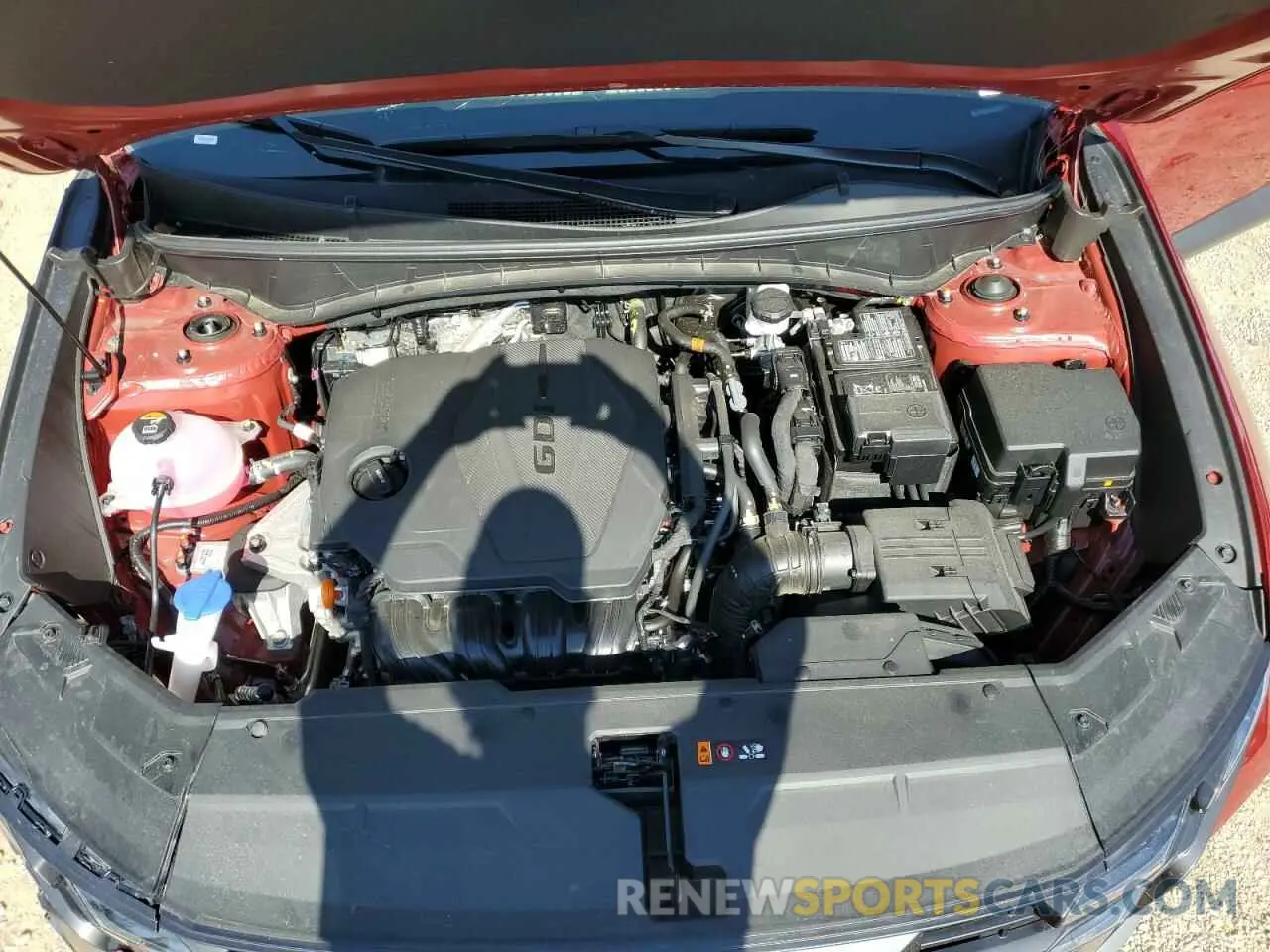 12 fotografías del automóvil dañado 5NMJBCDE2SH495357 HYUNDAI TUCSON 2025