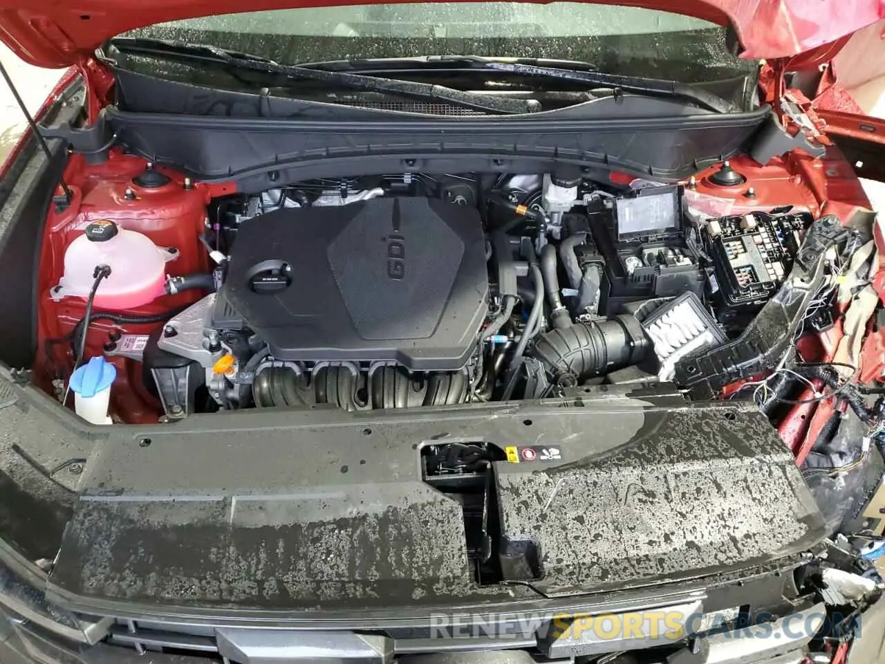 12 fotografías del automóvil dañado 5NMJBCDE3SH481144 HYUNDAI TUCSON 2025