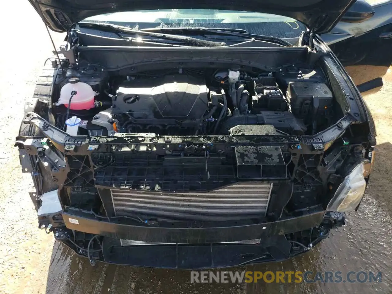 11 fotografías del automóvil dañado 5NMJBCDE4SH470363 HYUNDAI TUCSON 2025