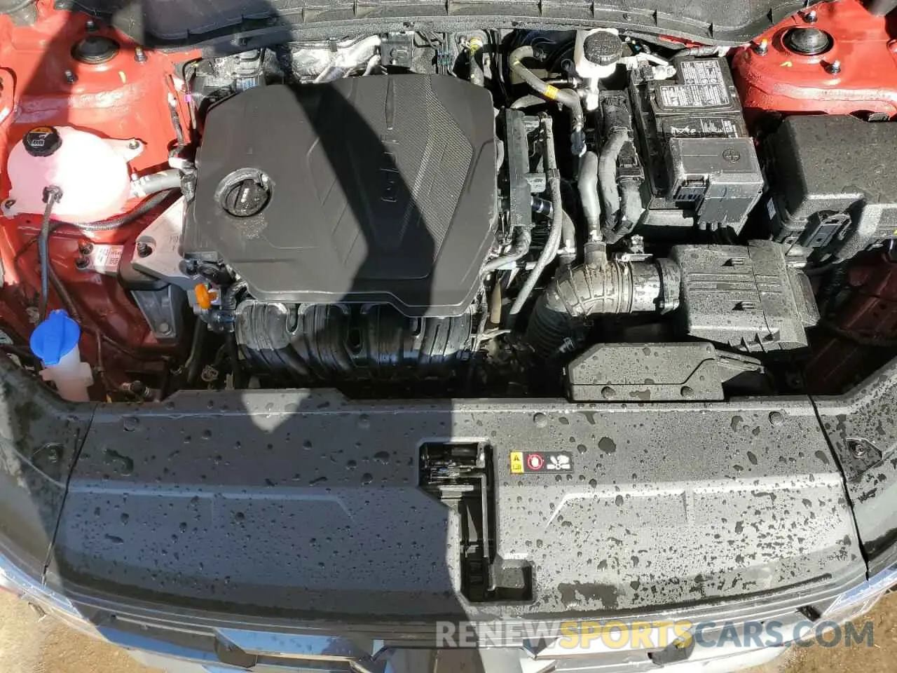12 fotografías del automóvil dañado 5NMJBCDE8SH493323 HYUNDAI TUCSON 2025