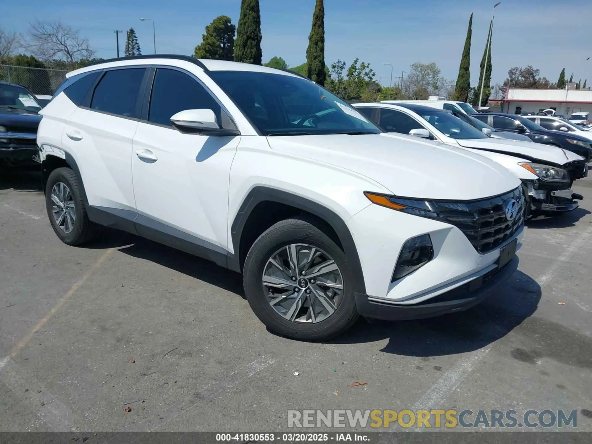 1 fotografías del automóvil dañado KM8JBCA19NU022291 HYUNDAI TUCSON HYBRID 2022