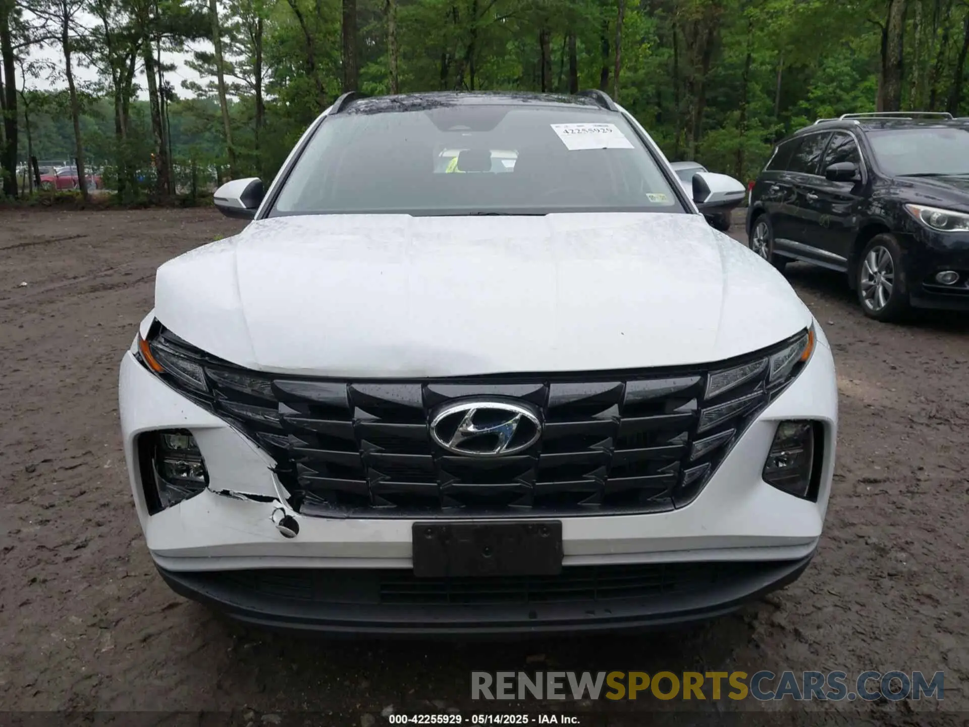 12 fotografías del automóvil dañado KM8JFCA12NU060272 HYUNDAI TUCSON HYBRID 2022