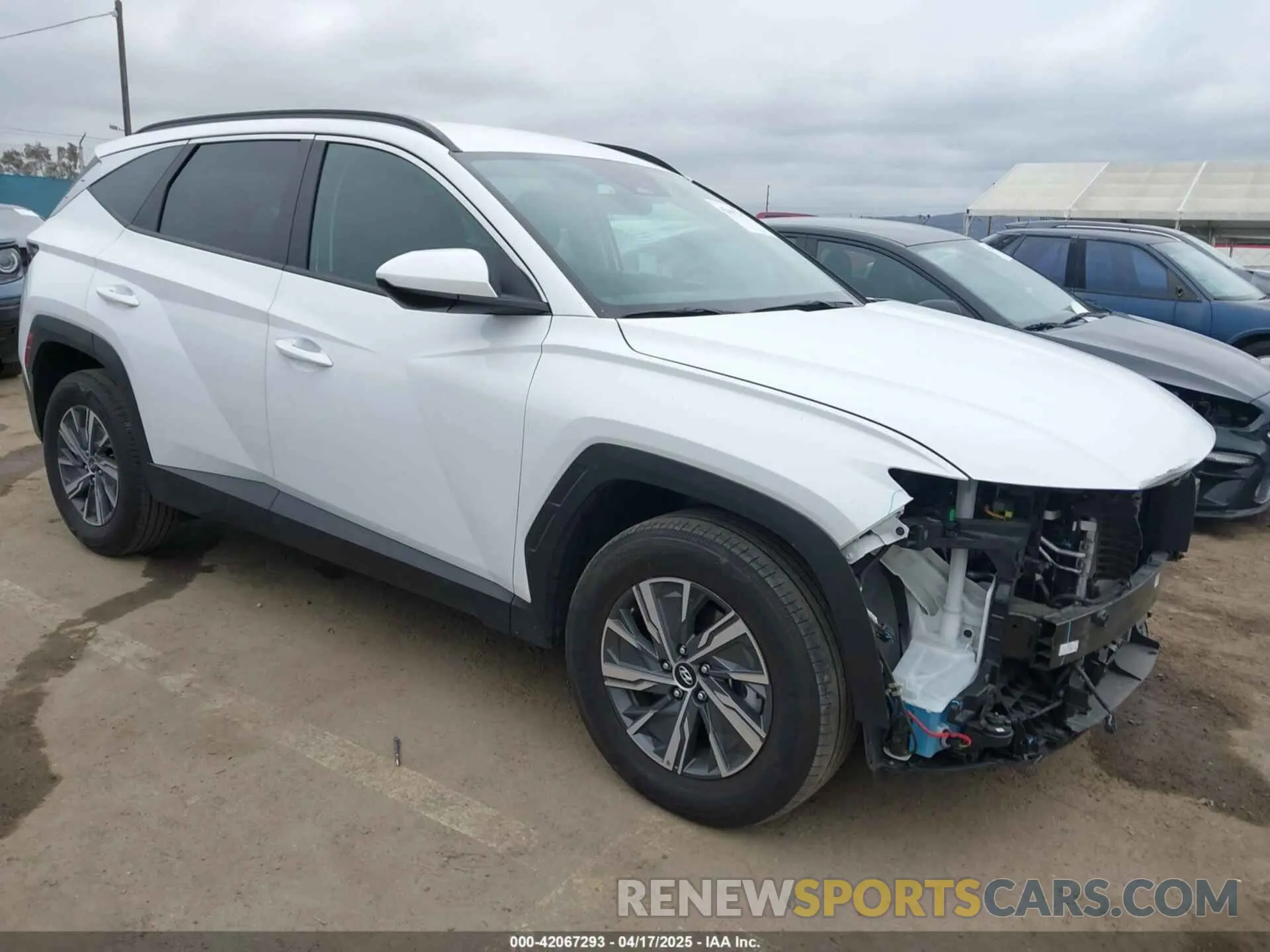 1 fotografías del automóvil dañado KM8JBCD11RU205511 HYUNDAI TUCSON HYBRID 2024