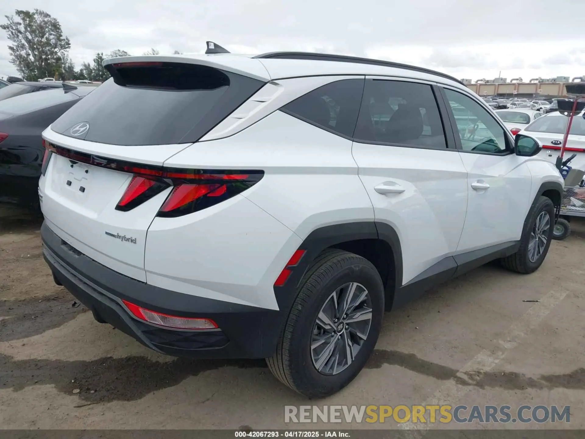 4 fotografías del automóvil dañado KM8JBCD11RU205511 HYUNDAI TUCSON HYBRID 2024