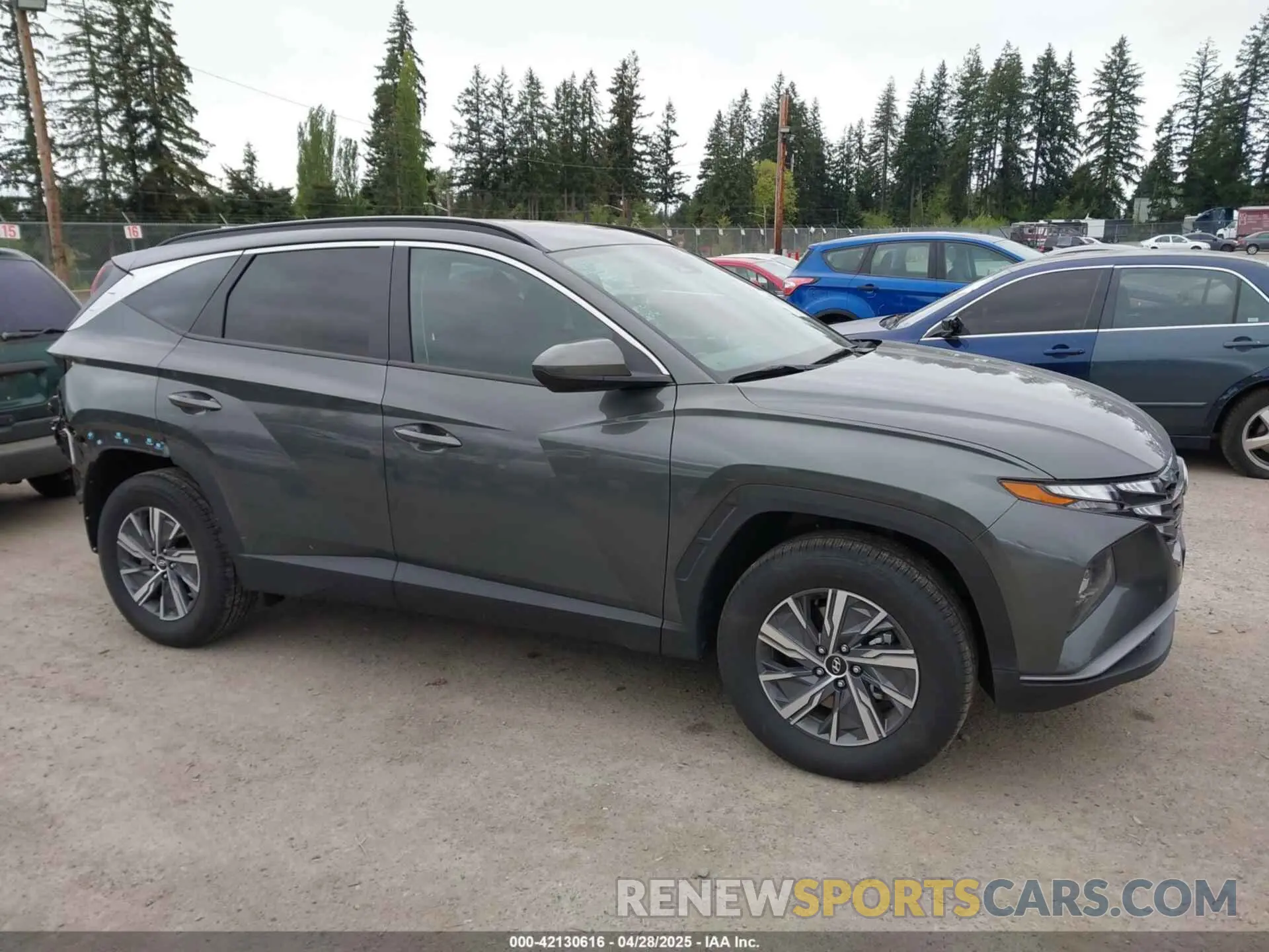 14 fotografías del automóvil dañado KM8JBCD14RU209620 HYUNDAI TUCSON HYBRID 2024