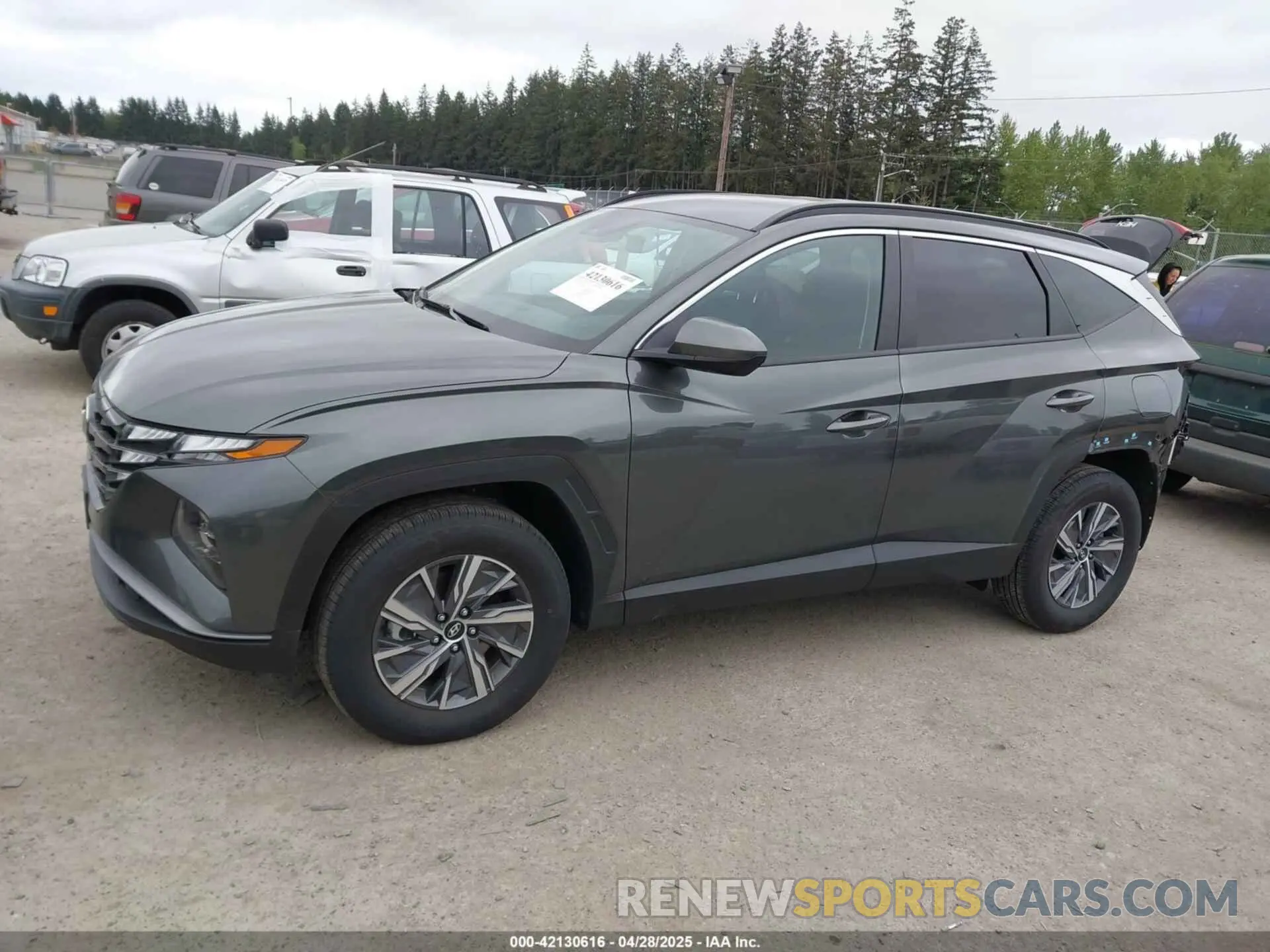 15 fotografías del automóvil dañado KM8JBCD14RU209620 HYUNDAI TUCSON HYBRID 2024