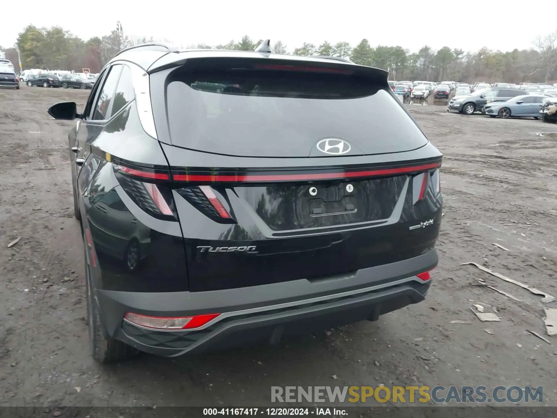 16 fotografías del automóvil dañado KM8JCCD18RU190339 HYUNDAI TUCSON HYBRID 2024