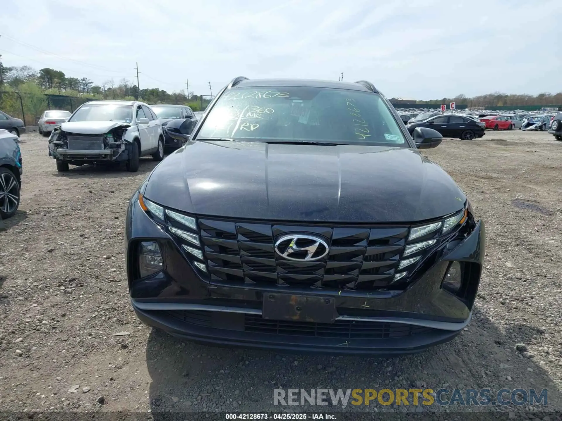 12 fotografías del automóvil dañado KM8JCCD18RU201968 HYUNDAI TUCSON HYBRID 2024