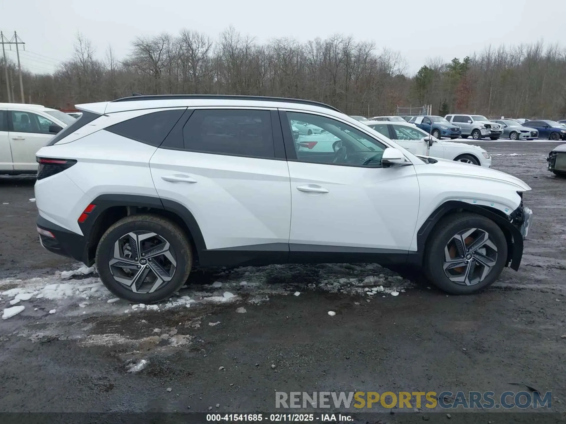 13 fotografías del automóvil dañado KM8JECD18RU219509 HYUNDAI TUCSON HYBRID 2024