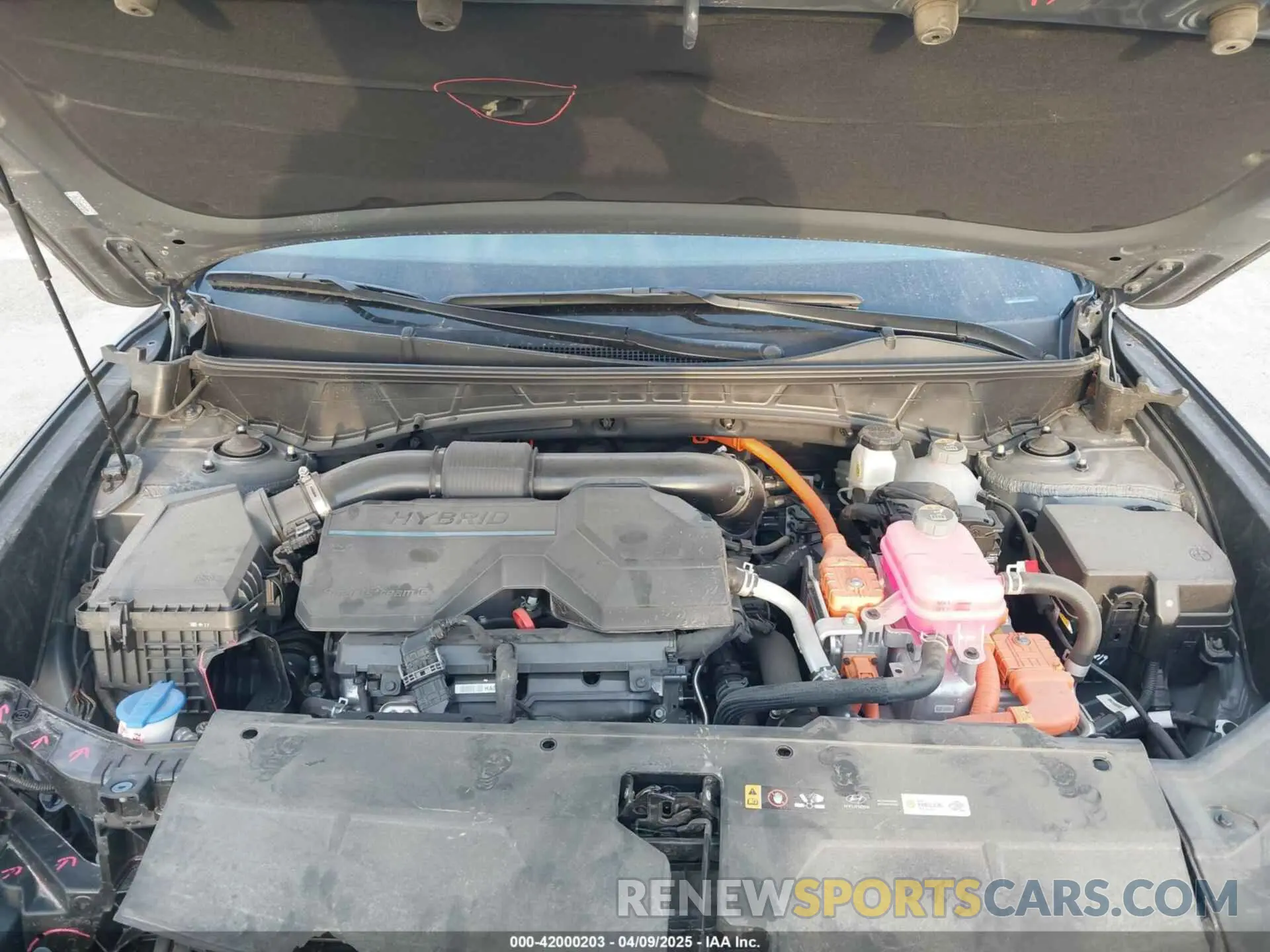 10 fotografías del automóvil dañado KM8JFCD16RU166399 HYUNDAI TUCSON HYBRID 2024