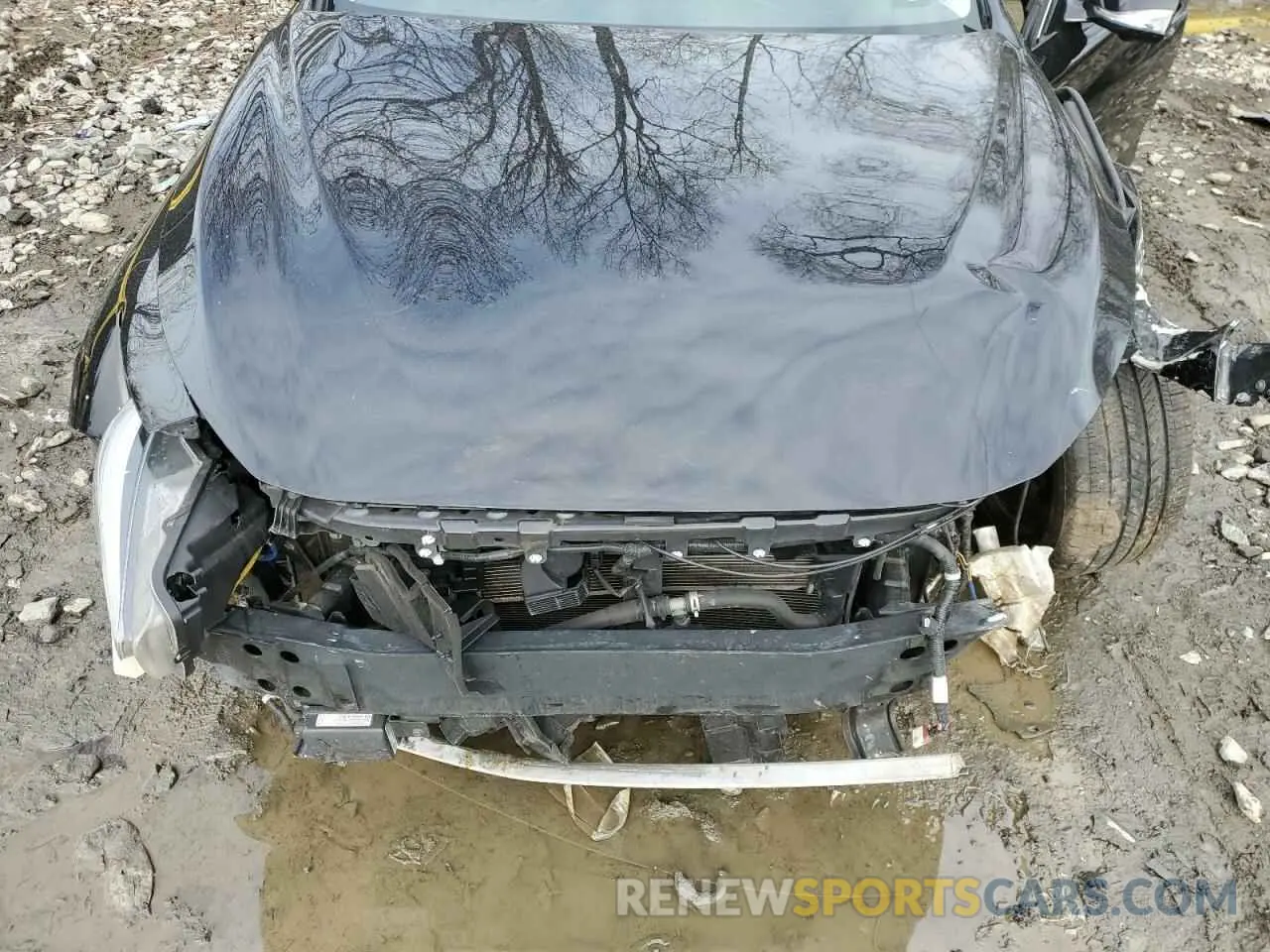 12 fotografías del automóvil dañado JN1EV7AR4KM592384 INFINITI Q50 2019