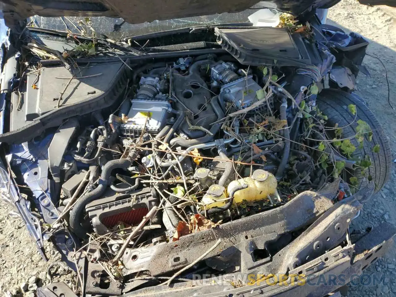 12 fotografías del automóvil dañado JN1EV7AR9LM250849 INFINITI Q50 2020