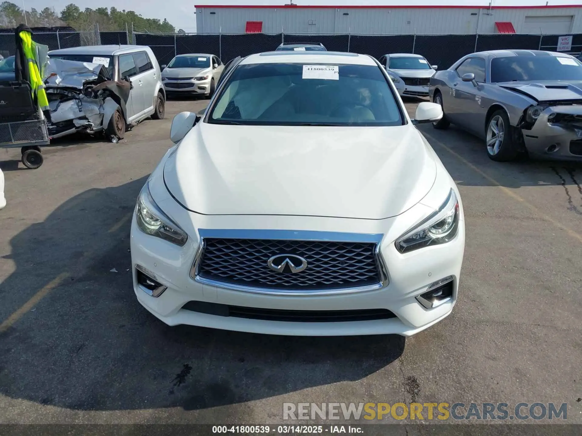 12 fotografías del automóvil dañado JN1EV7BP3MM700462 INFINITI Q50 2021