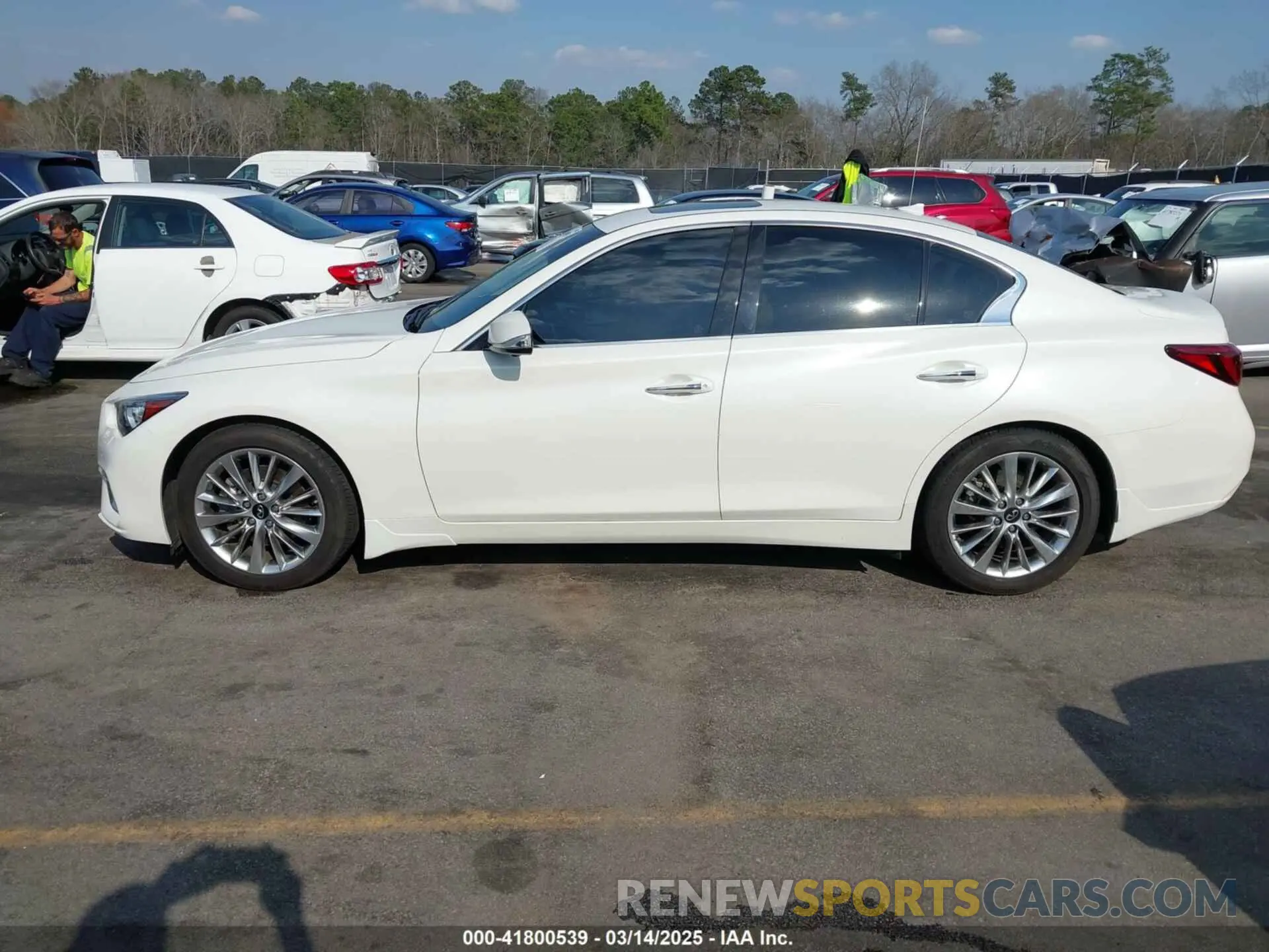 14 fotografías del automóvil dañado JN1EV7BP3MM700462 INFINITI Q50 2021