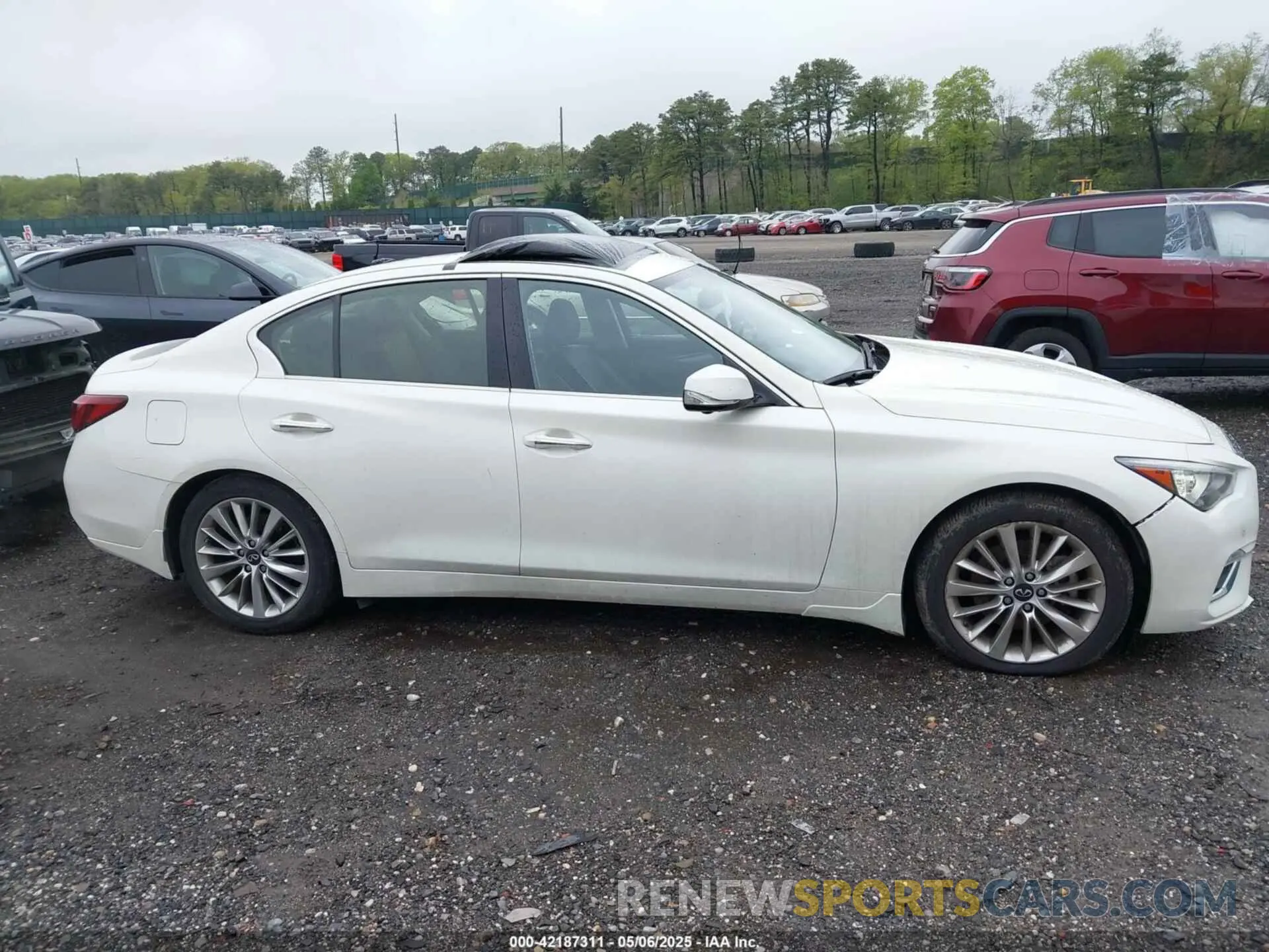 13 fotografías del automóvil dañado JN1EV7BR9MM754382 INFINITI Q50 2021