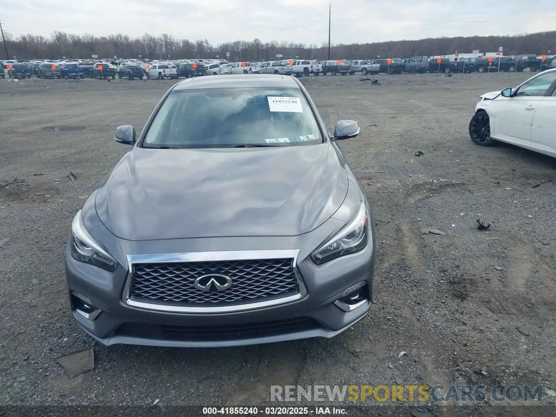 12 fotografías del automóvil dañado JN1EV7BRXMM751698 INFINITI Q50 2021