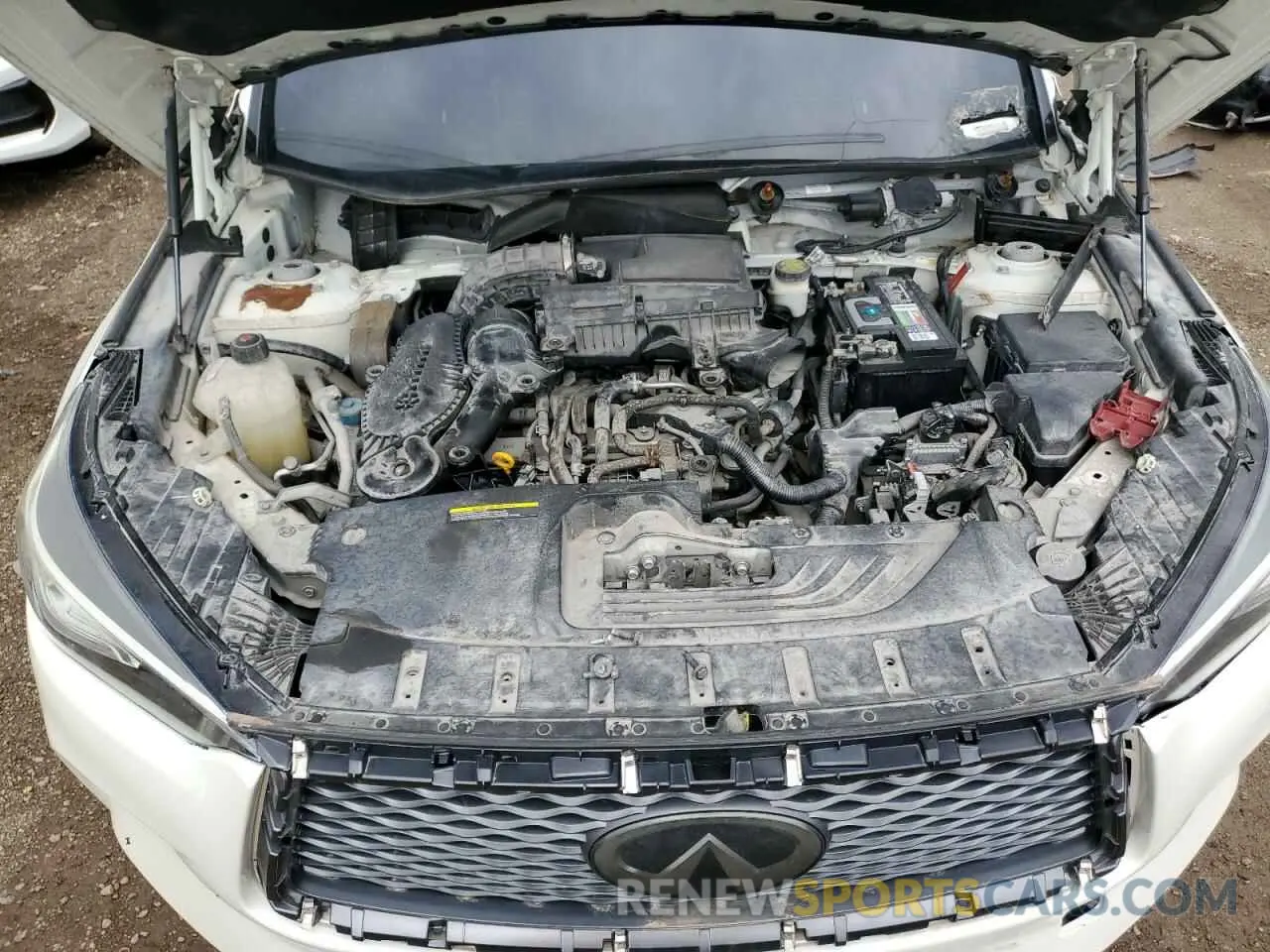 12 fotografías del automóvil dañado 3PCAJ5M13KF137147 INFINITI QX50 2019