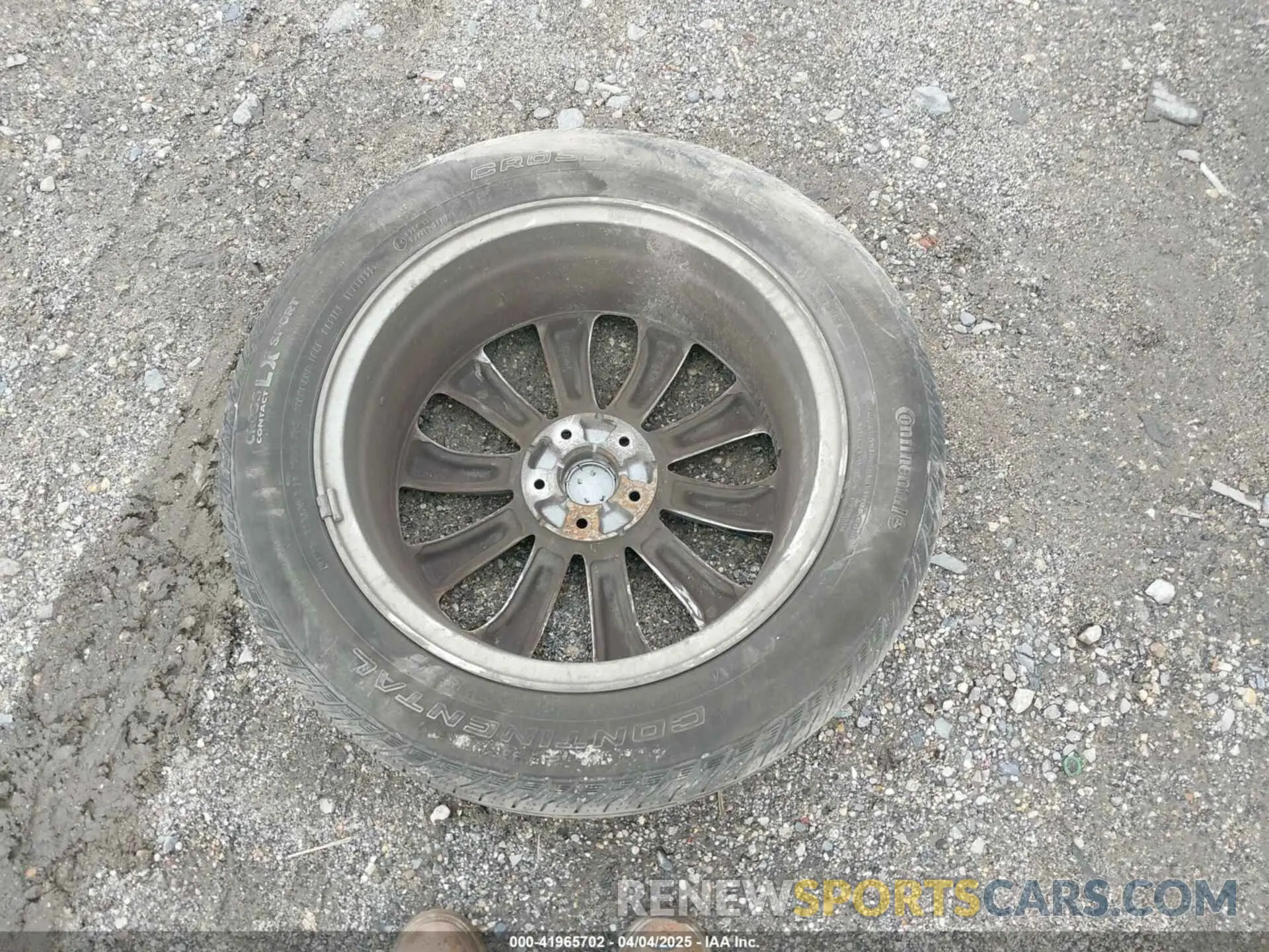11 fotografías del automóvil dañado 3PCAJ5M32KF147444 INFINITI QX50 2019