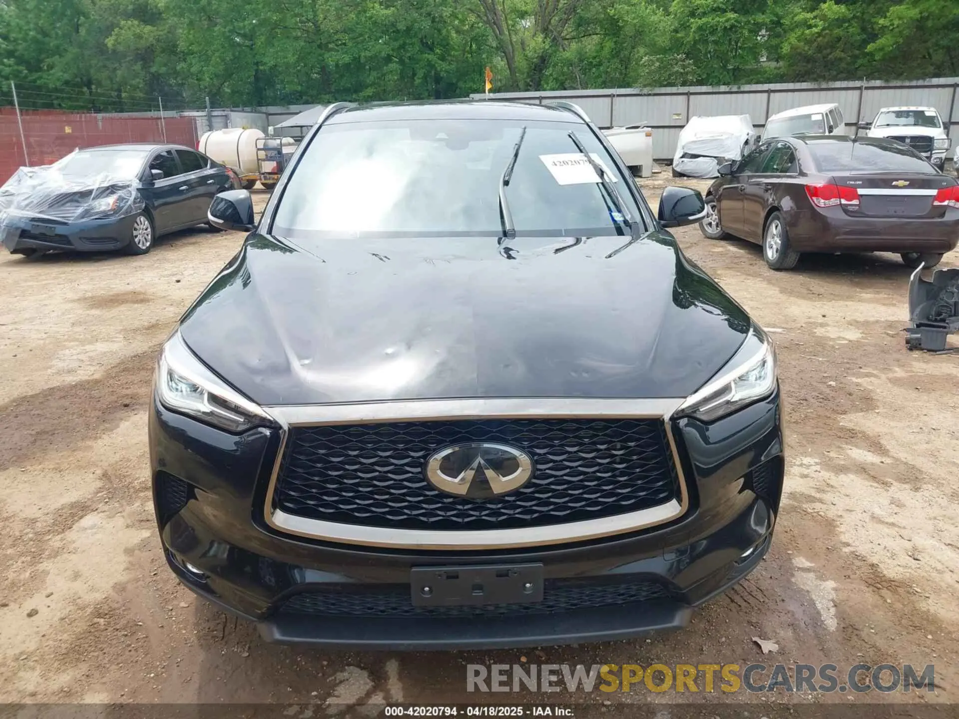 6 fotografías del automóvil dañado 3PCAJ5BAXMF125311 INFINITI QX50 2021