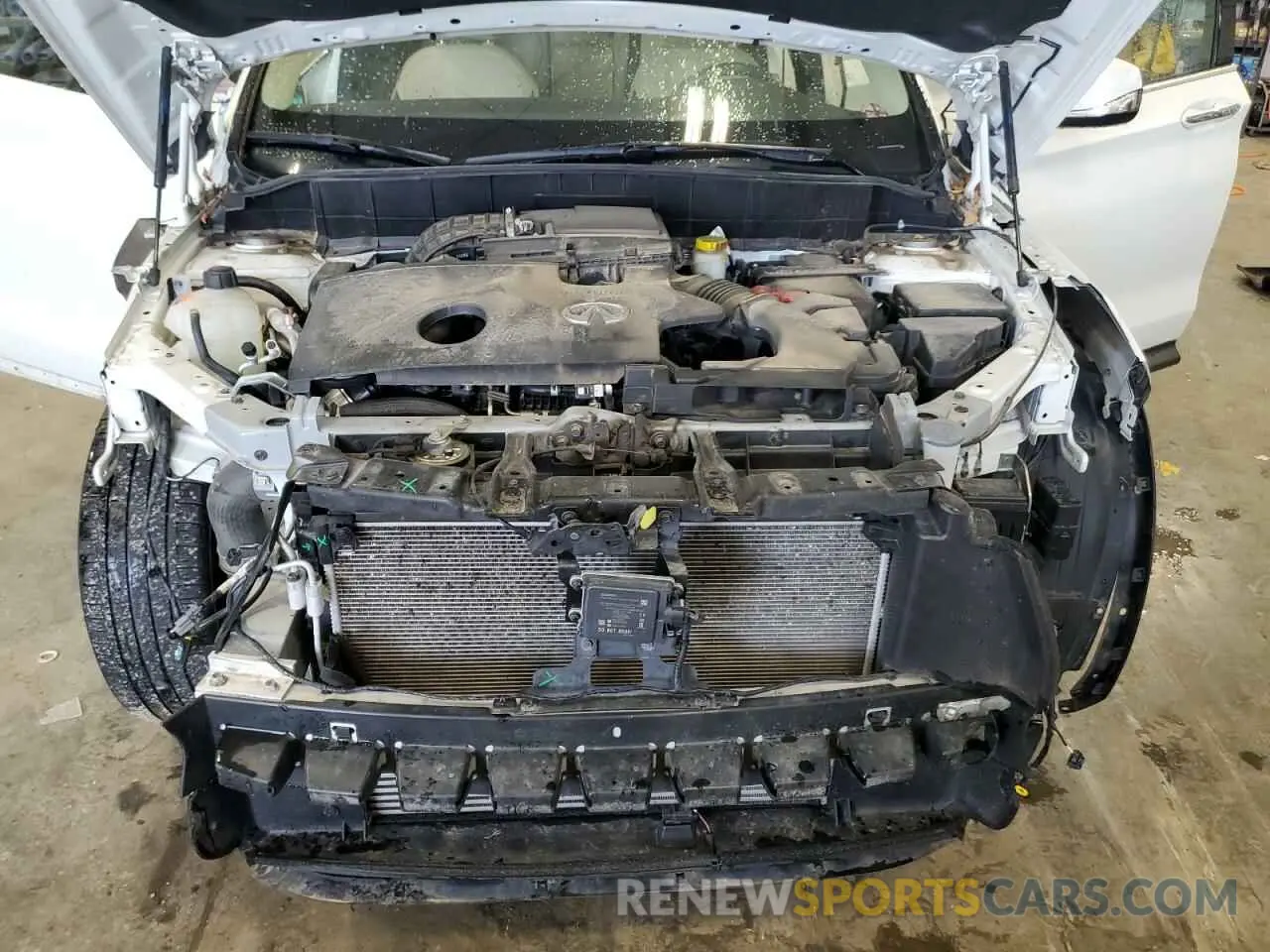12 fotografías del automóvil dañado 3PCAJ5BB7NF114132 INFINITI QX50 2022