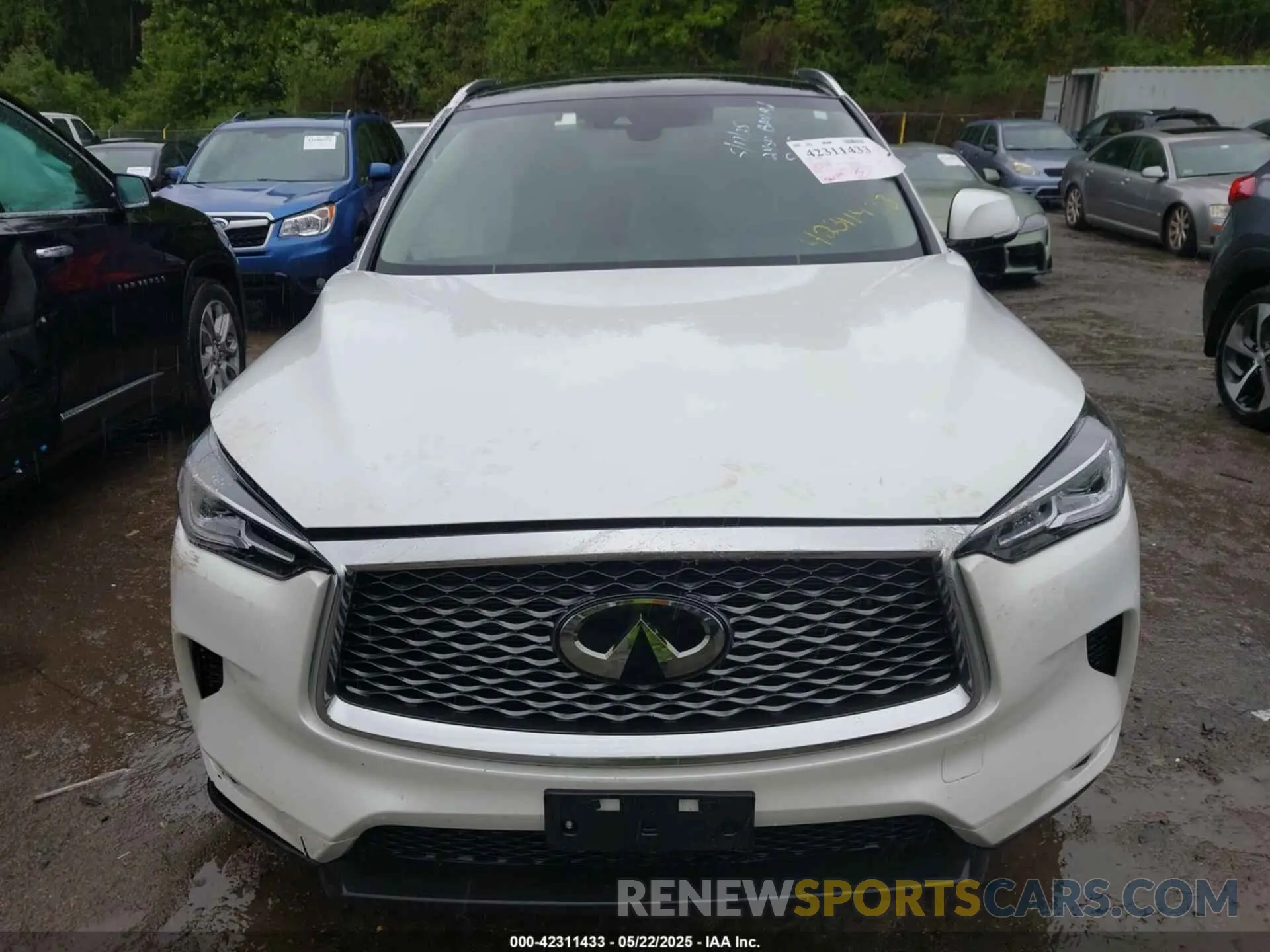 12 fotografías del automóvil dañado 3PCAJ5BA5PF116908 INFINITI QX50 2023
