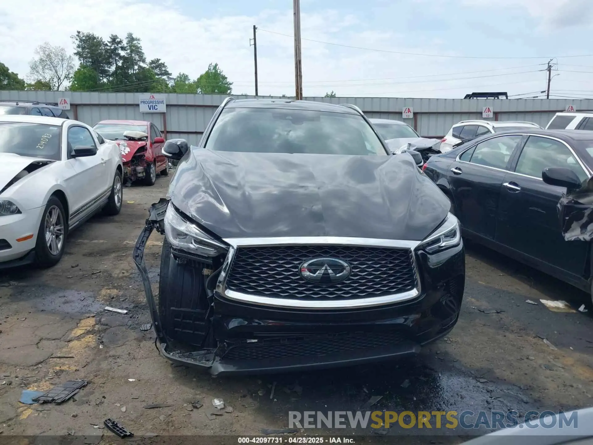 12 fotografías del automóvil dañado 3PCAJ5BA7PF116022 INFINITI QX50 2023