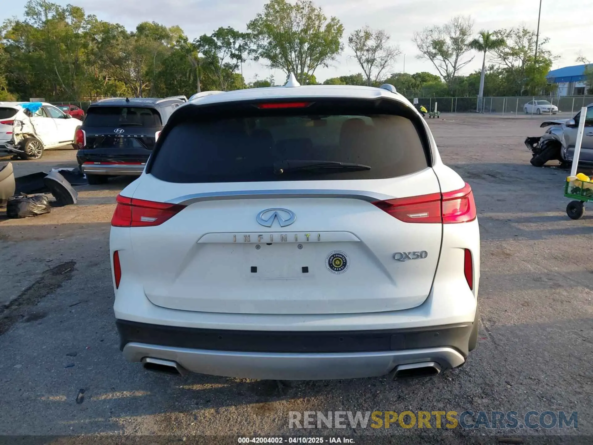 16 fotografías del automóvil dañado 3PCAJ5BA1RF108713 INFINITI QX50 2024