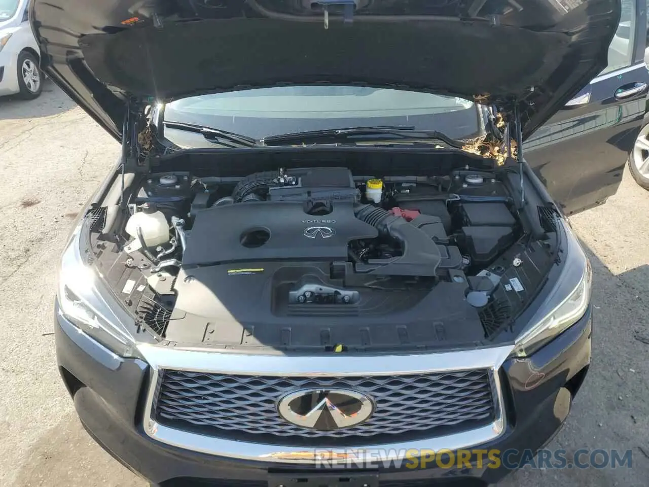 12 fotografías del automóvil dañado 3PCAJ5BB2RF114609 INFINITI QX50 2024