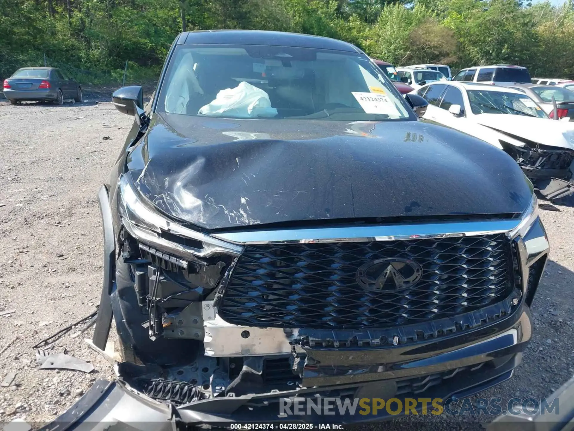 12 fotografías del automóvil dañado 5N1DL1ER2RC330428 INFINITI QX60 2024