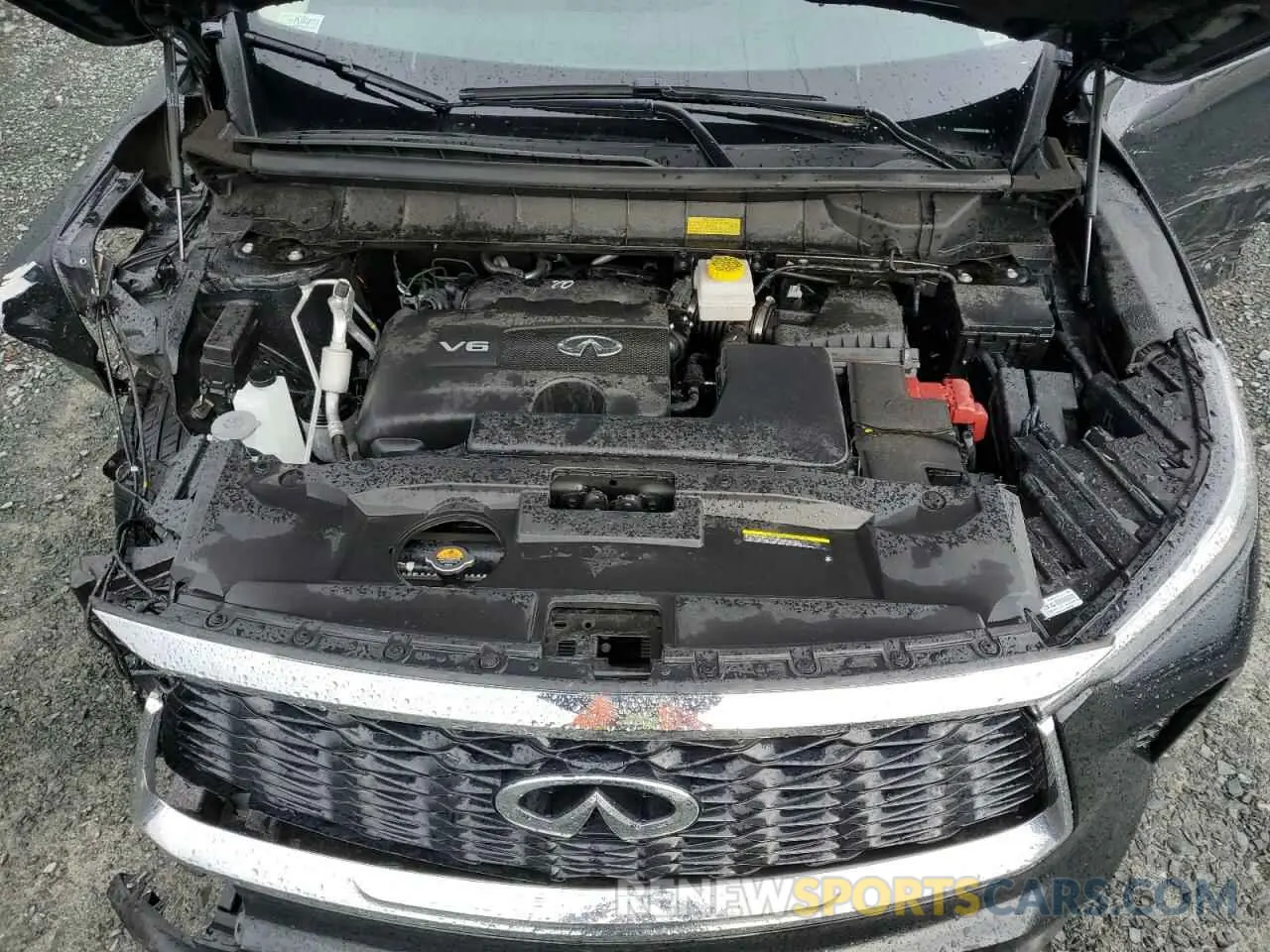12 fotografías del automóvil dañado 5N1DL1ESXRC354351 INFINITI QX60 PURE 2024